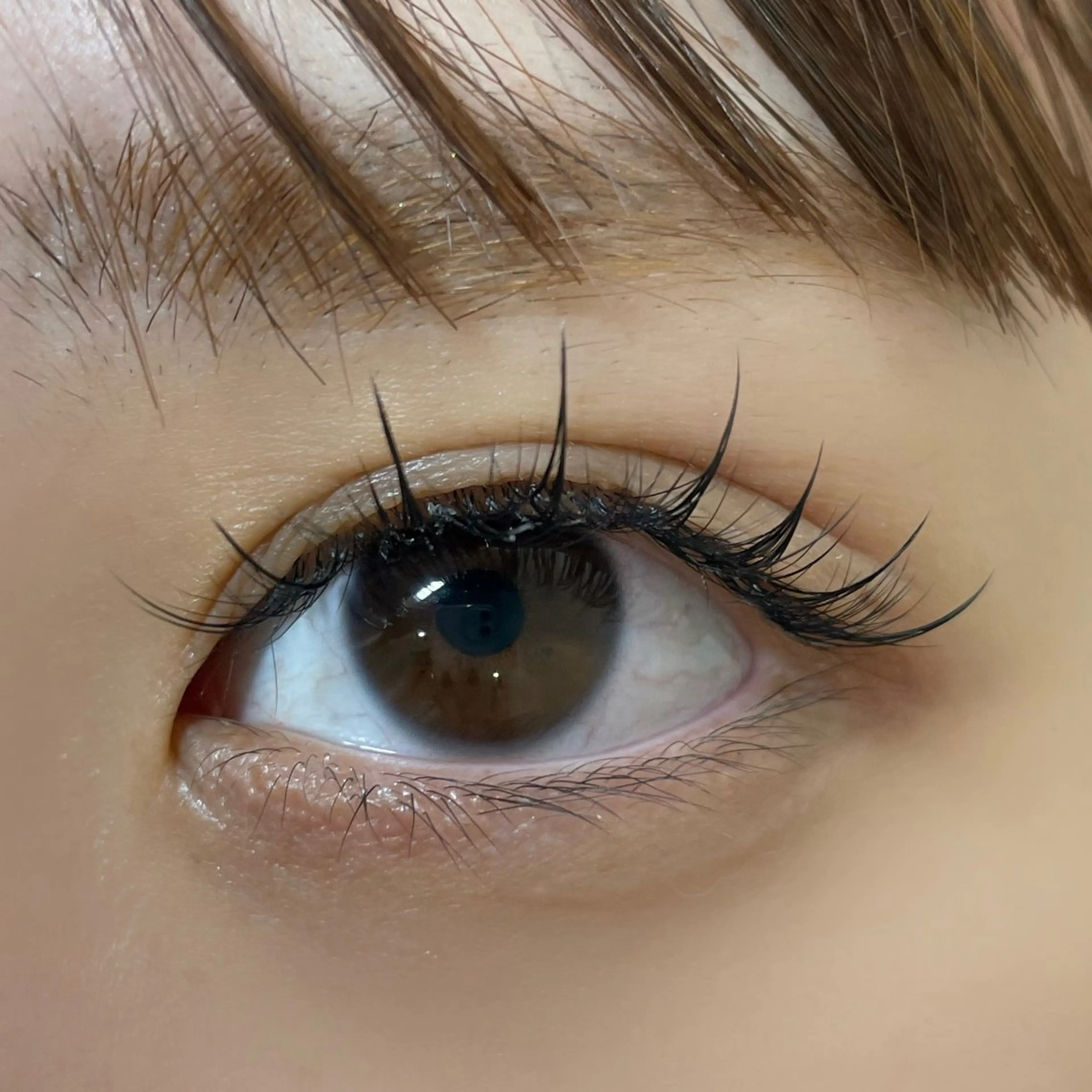 マツエク・マツパ ワンホンマツエク salut ayakaのマツエク・マツパデザイン