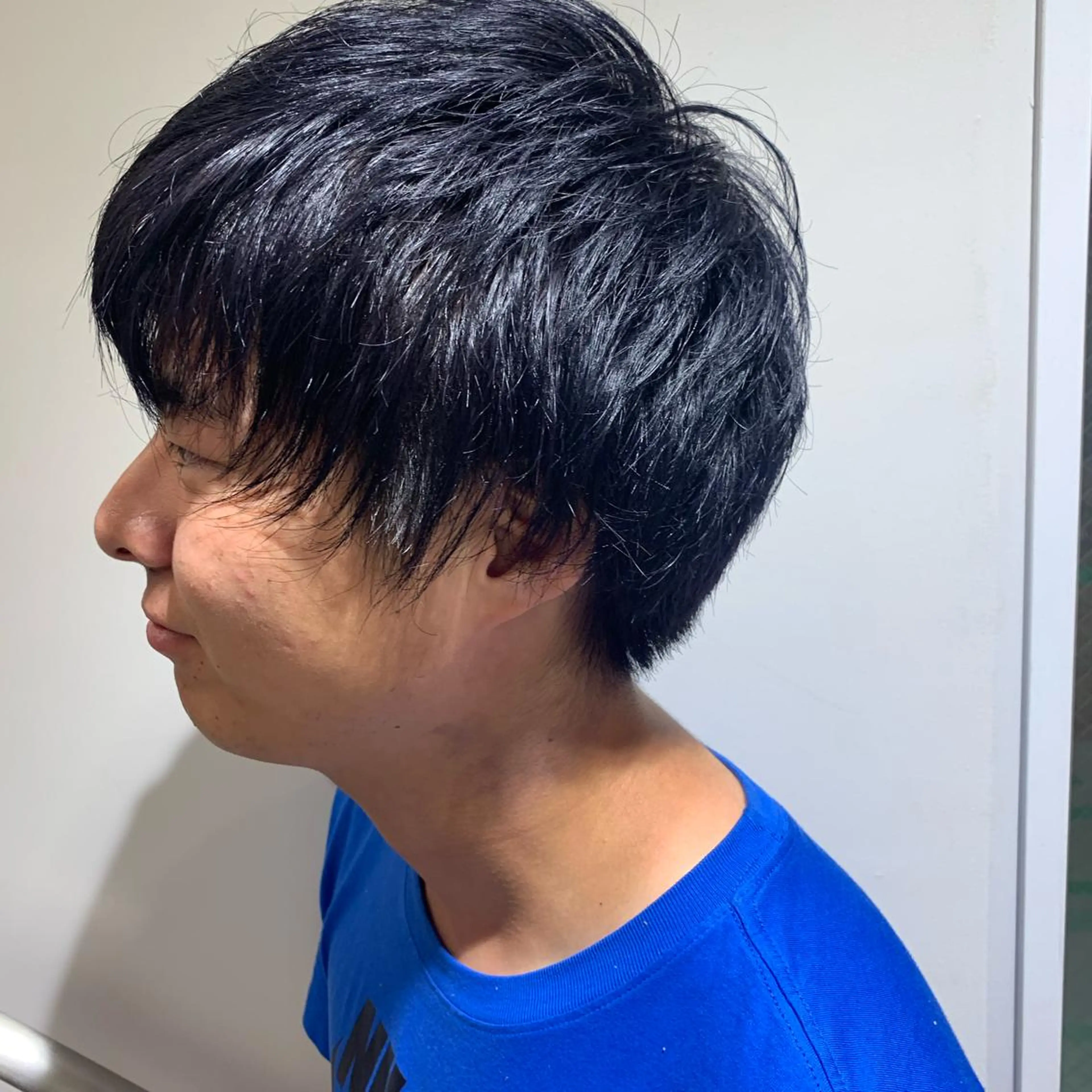 ショート カラー ブルーカラー fit /HONOKAのヘアスタイル