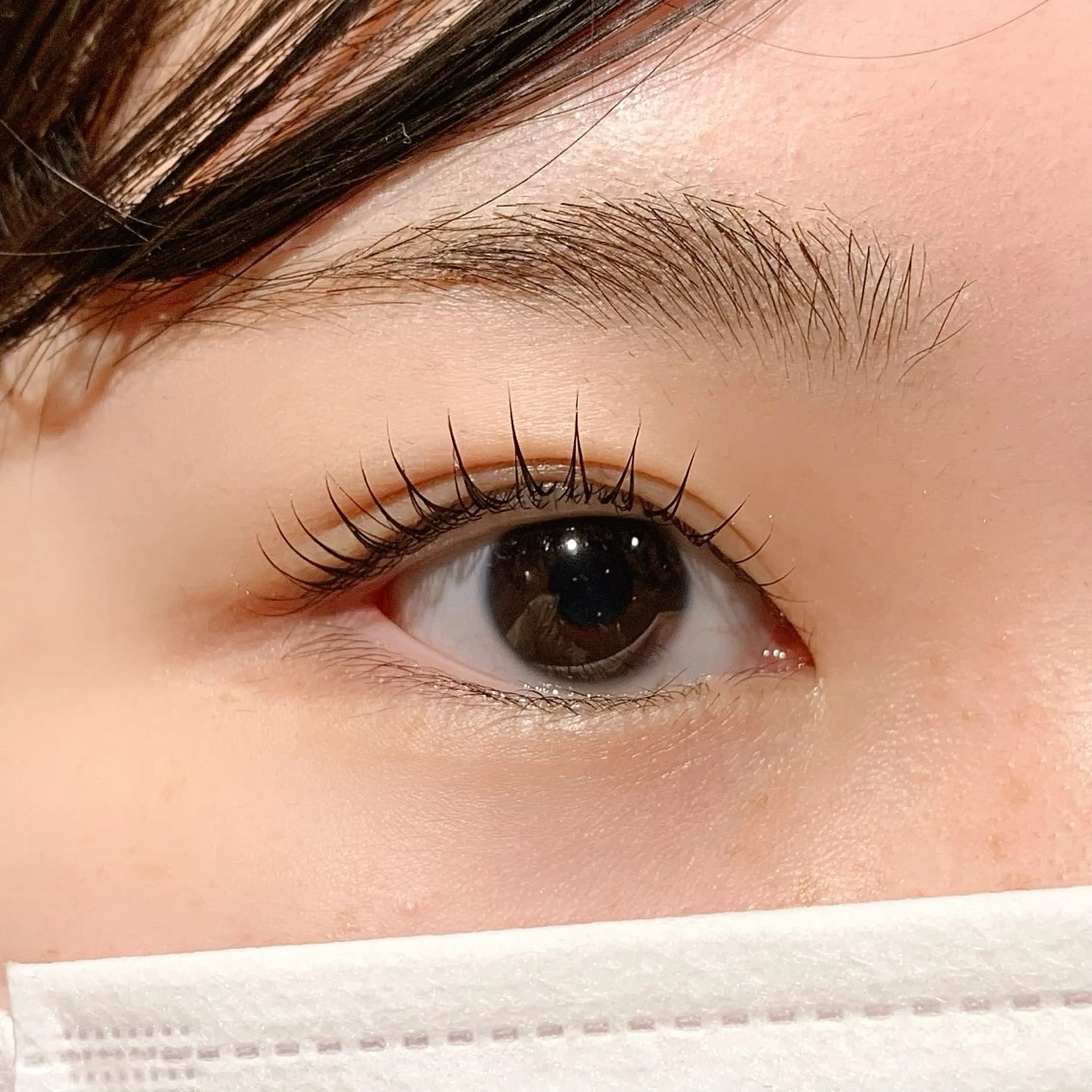 【minimo限定】🛁アイシャンプー付き🛁ケラチンラッシュリフト🩵コーティング付き🩵の写真