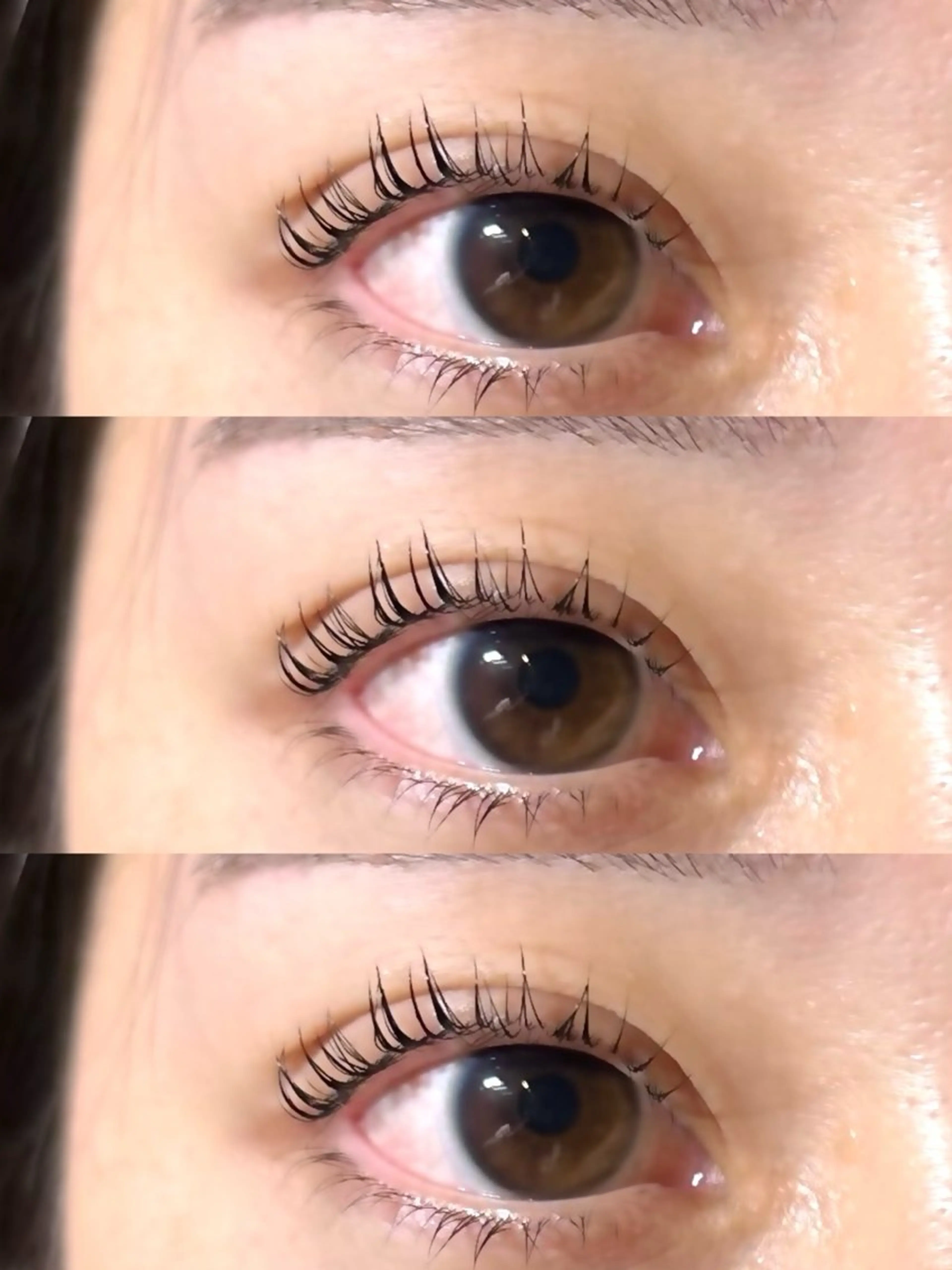 上のみ/デザイン3種類から選べるラッシュリフト🫧の写真