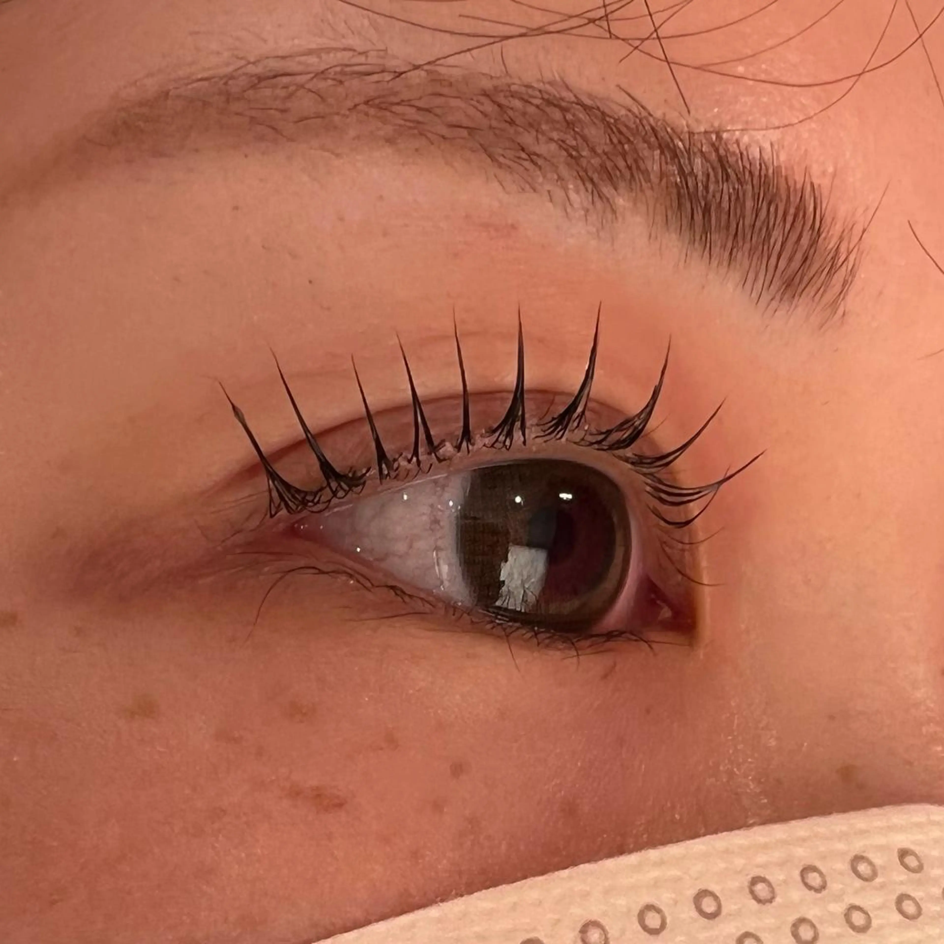 マツエク・マツパ 🧸Celeste Venusのマツエク・マツパデザイン