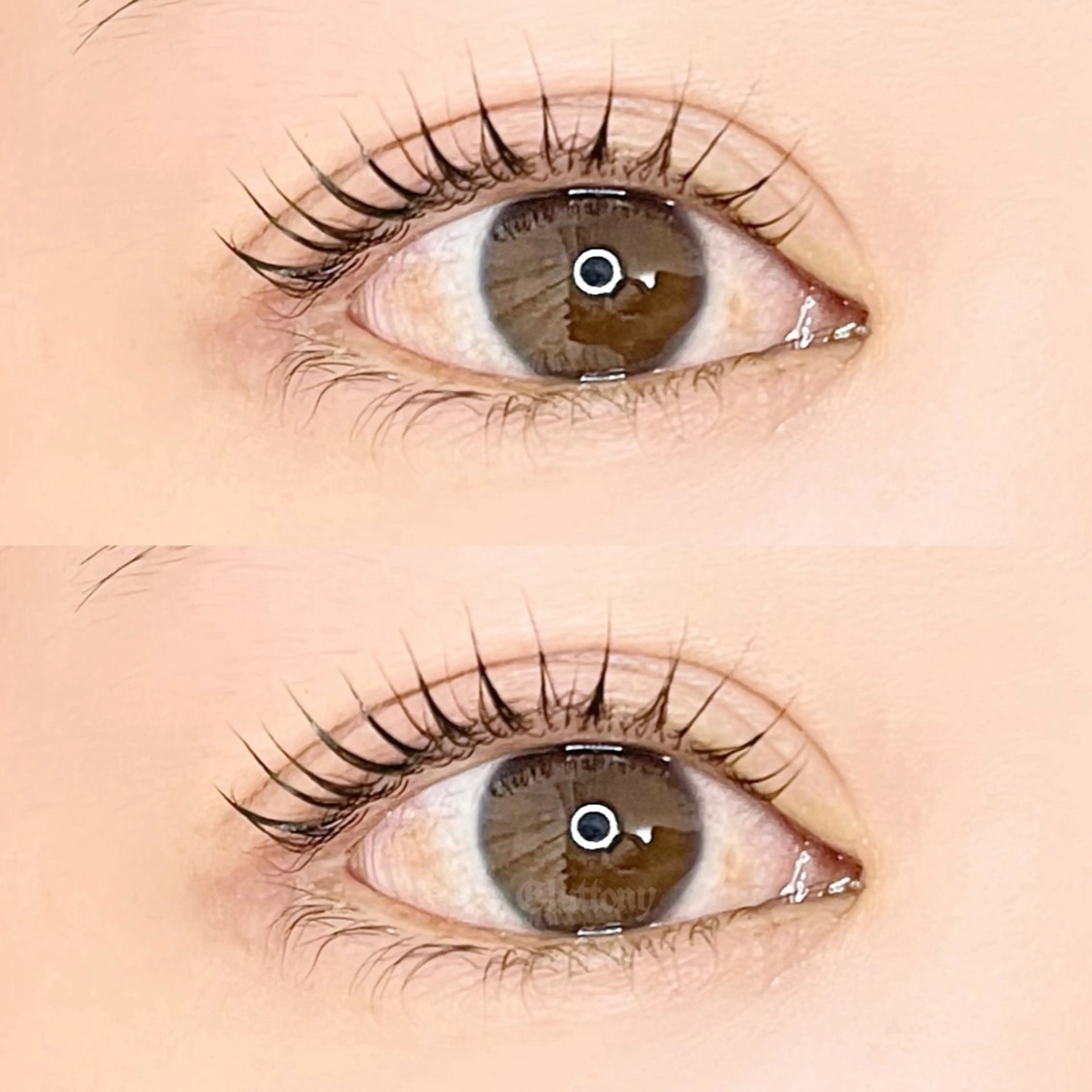 マツエク・マツパ マツパ Gluttony/ ｸﾞﾗﾄﾆｰのマツエク・マツパデザイン