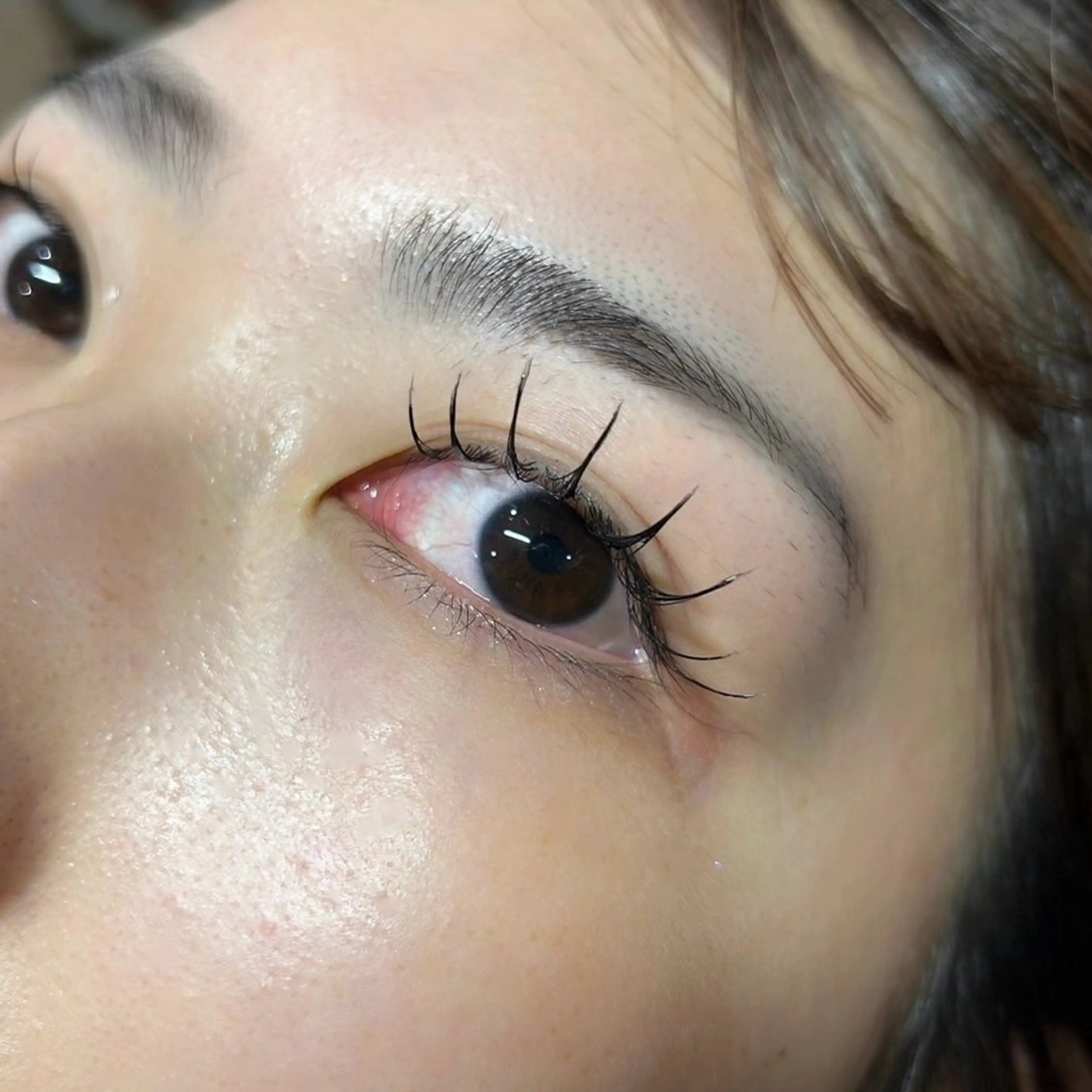 フラットラッシュ120本の写真