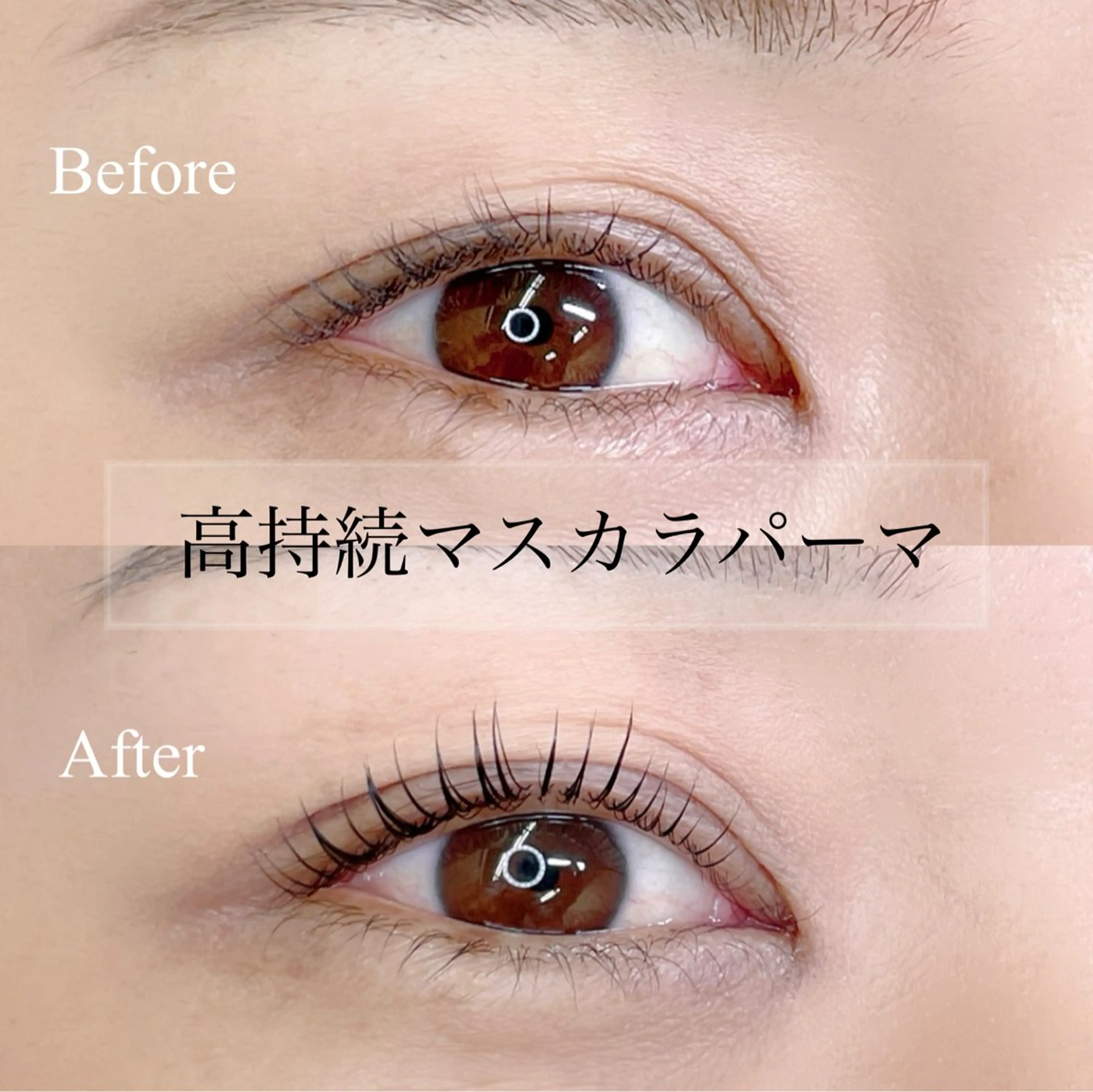 高持続！韓国マスカラパーマ(ブラックティント)まつげパーマorパリジェンヌ [上] アイパック付きの写真