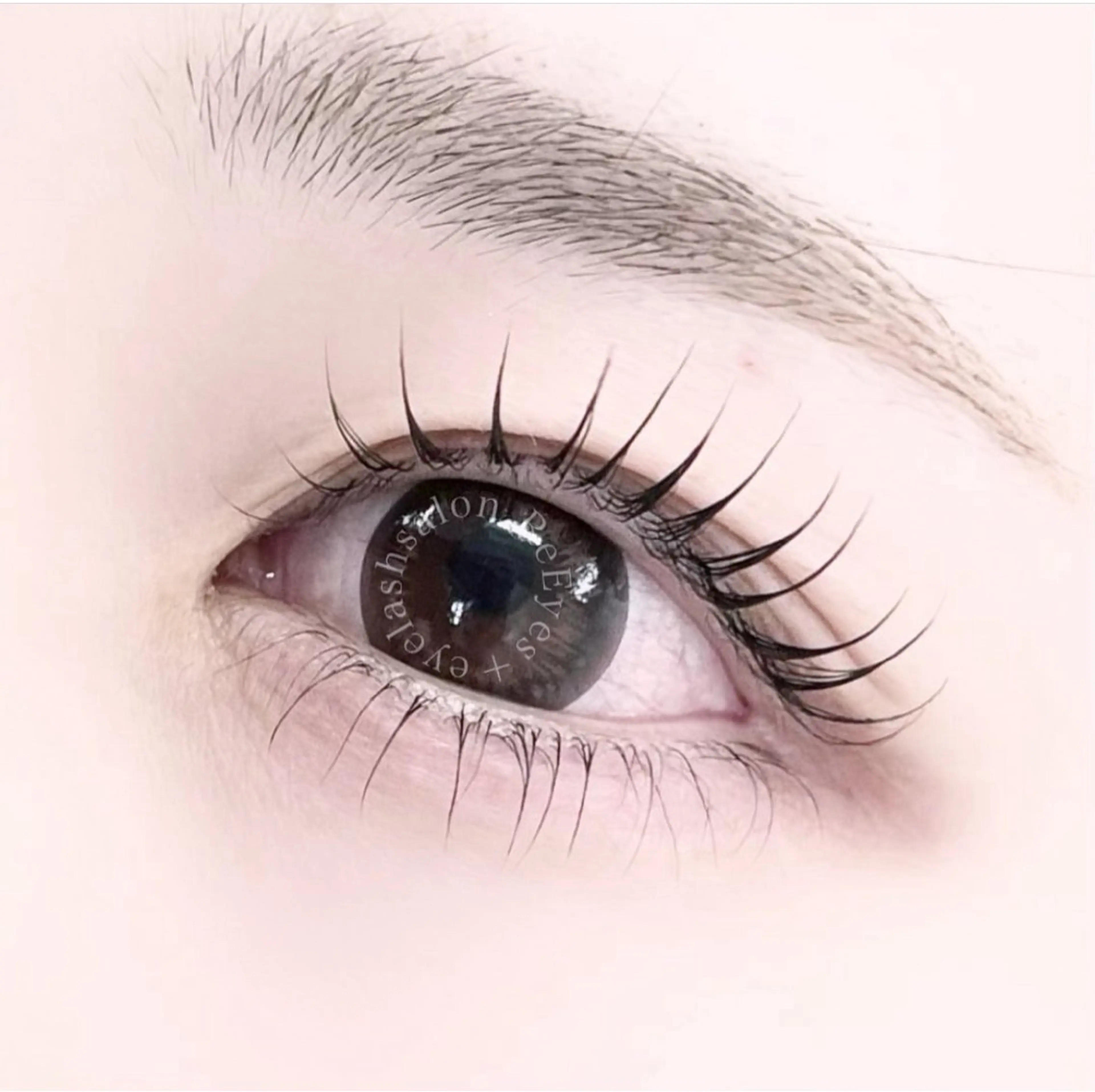 🎀下まつげパーマの写真