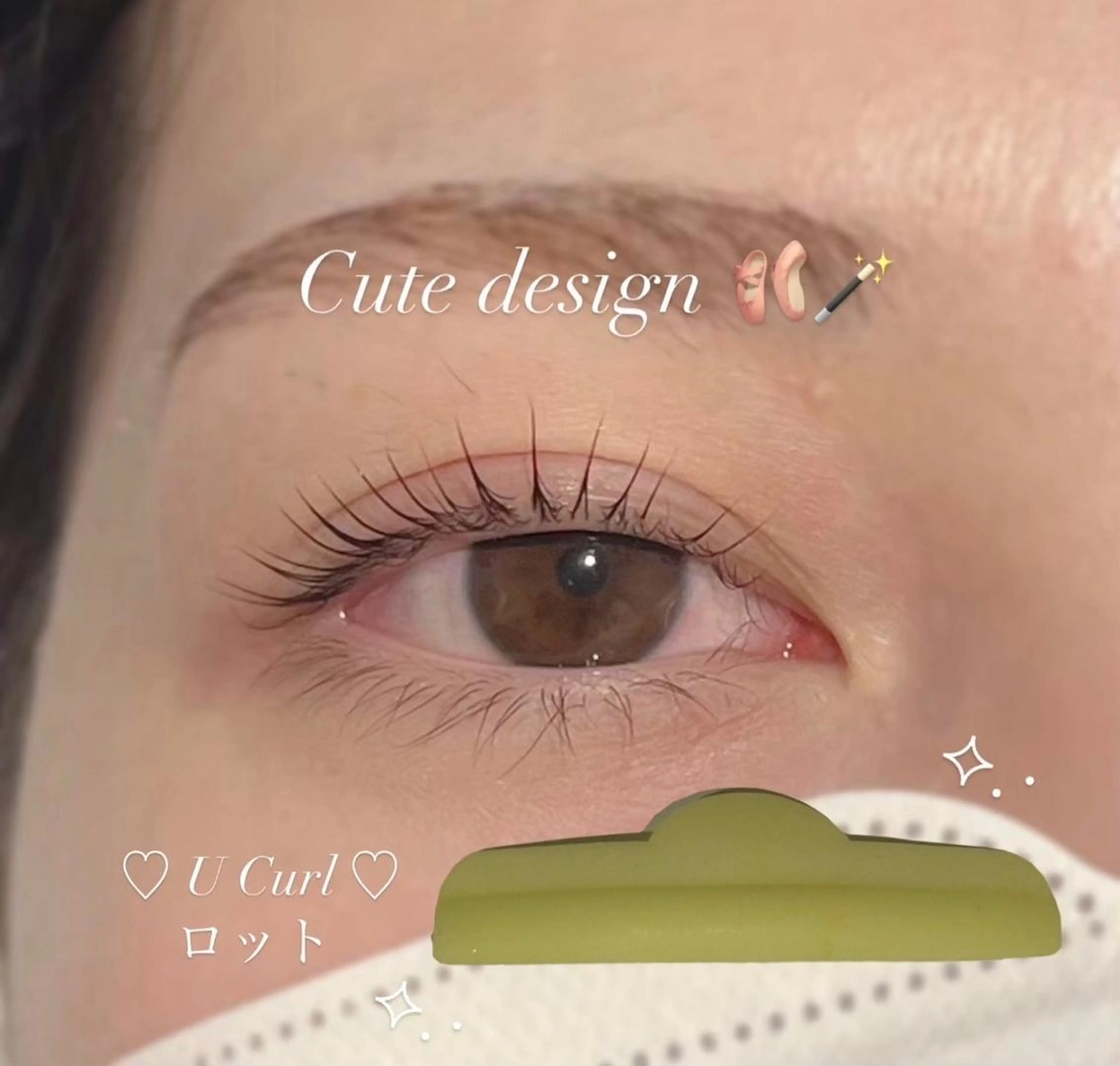 マツエク・マツパ 束感まつ毛 韓国風マツエク まつげパーマ 一重×まつ毛パーマ Biolus／天王寺 ２号店🌼Arisaのマツエク・マツパデザイン