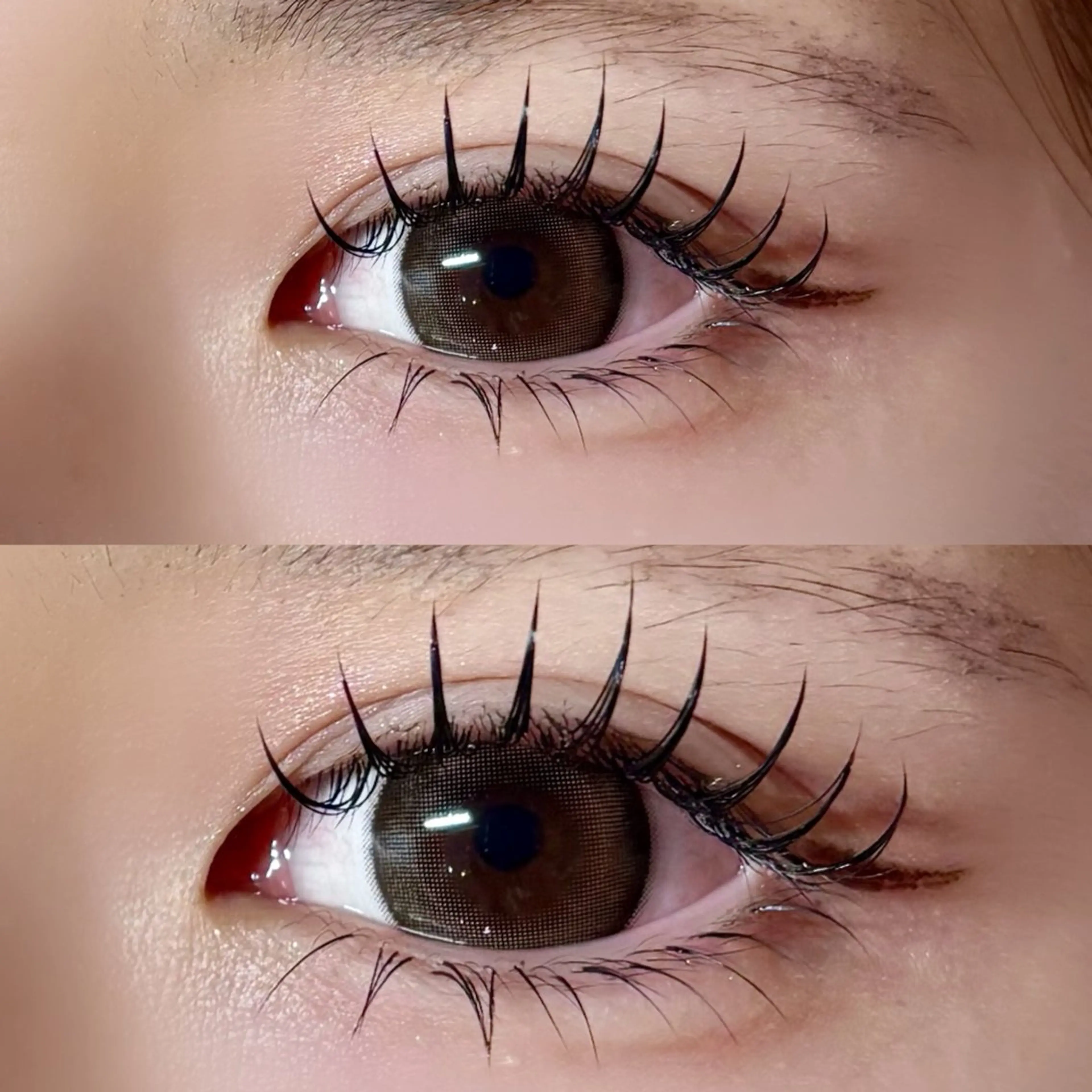 🐣フラットマットラッシュ 上下つけ放題🐣の写真