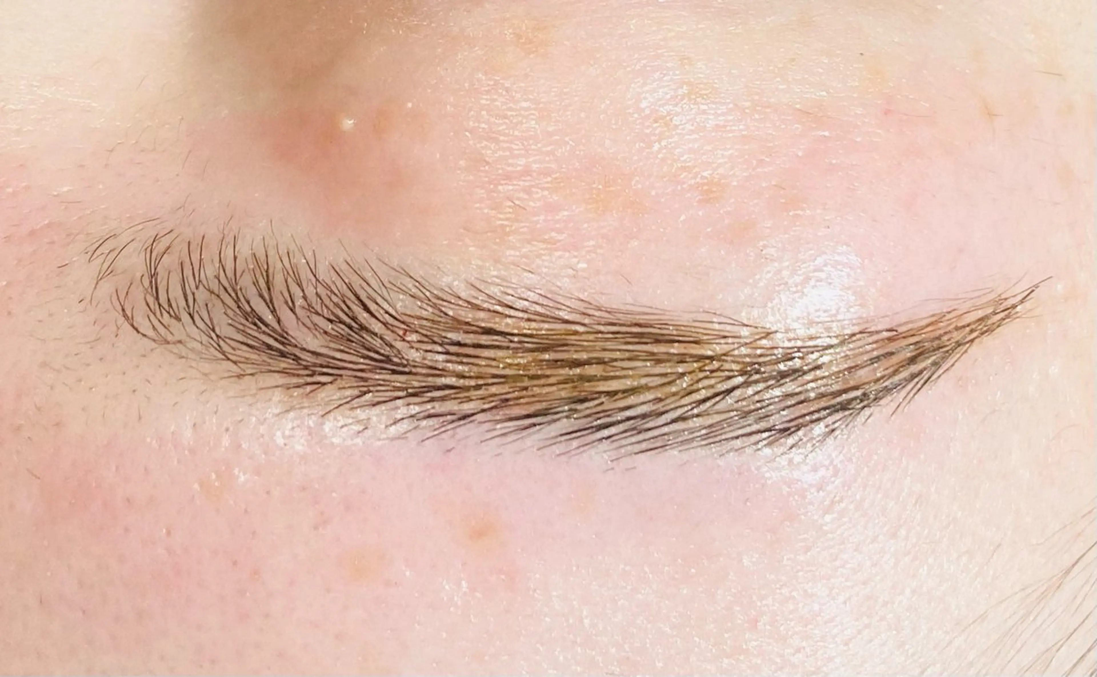 アイブロウ 眉毛ワックス脱毛 アイ❤️ カールのマツエク・マツパデザイン