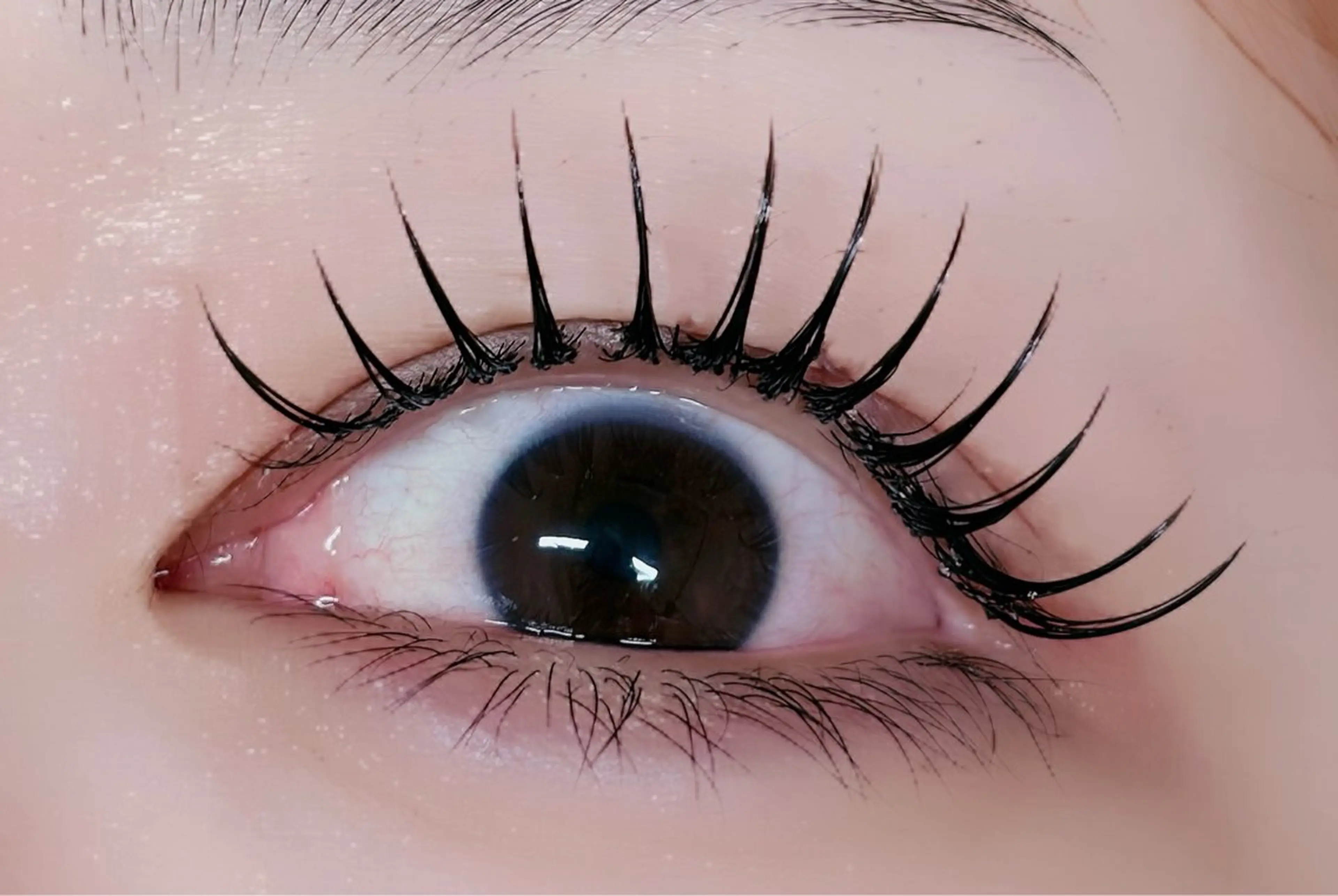 マツエク・マツパ 付け放題 フラットラッシュ マツエク ルチア💞 lucia高田馬場のマツエク・マツパデザイン