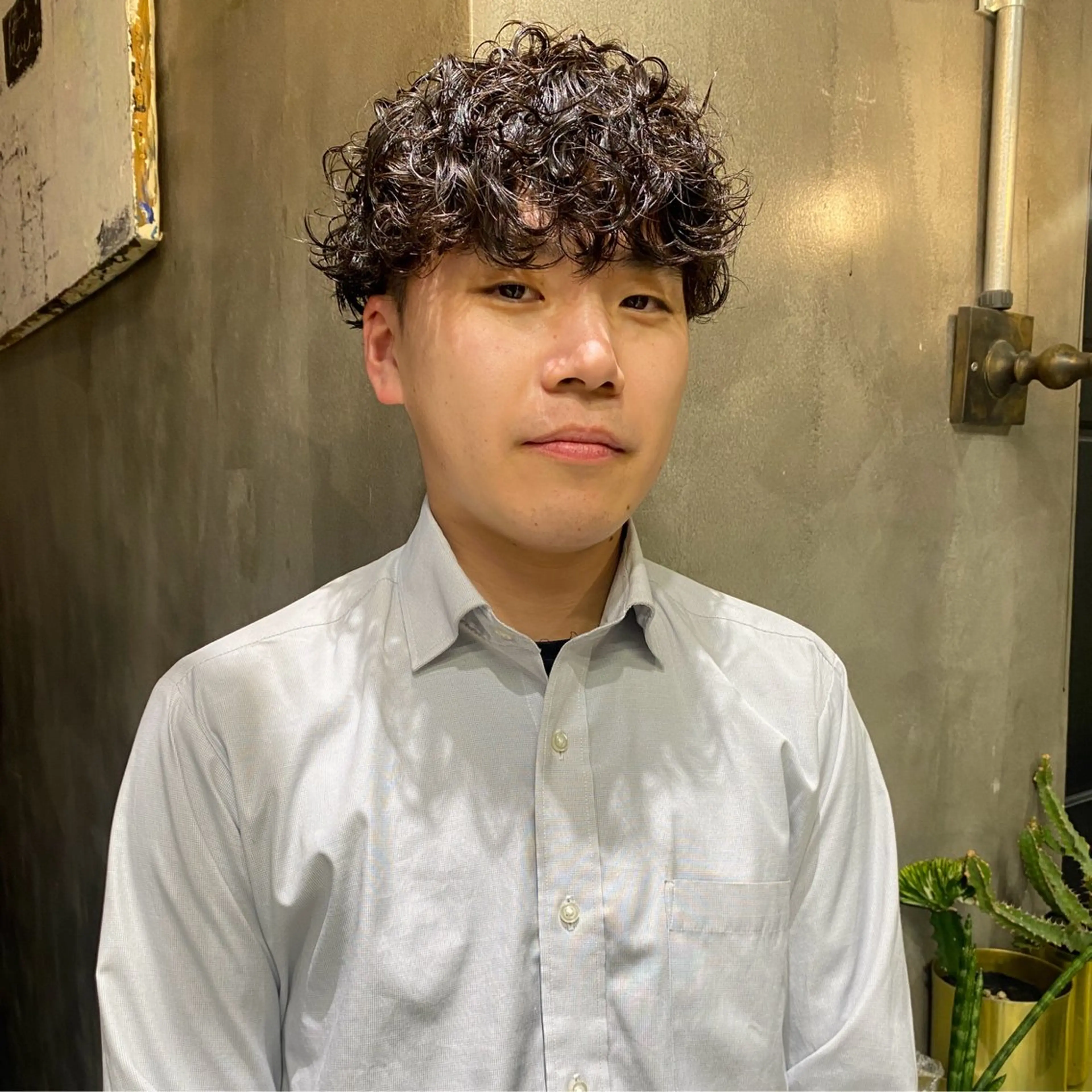 ショート パーマ メンズ メンズパーマ プードルパーマ プードルパーマ カット パーマ トリートメント メンズヘア/パーマ/ SHOUTOのヘアスタイル