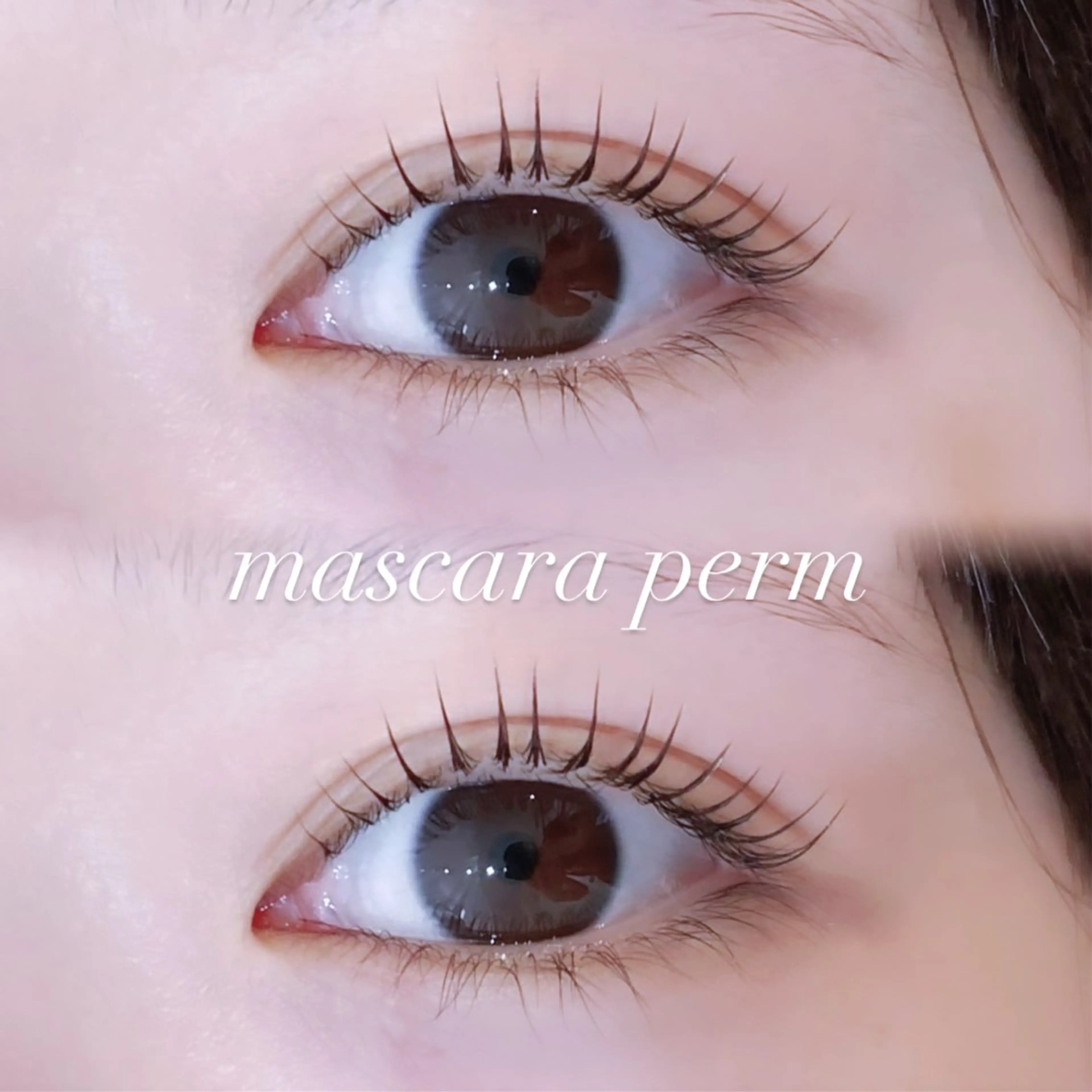 マツエク・マツパ マツパ EYELA 🎀遠山の眉毛・アイブロウイメージ