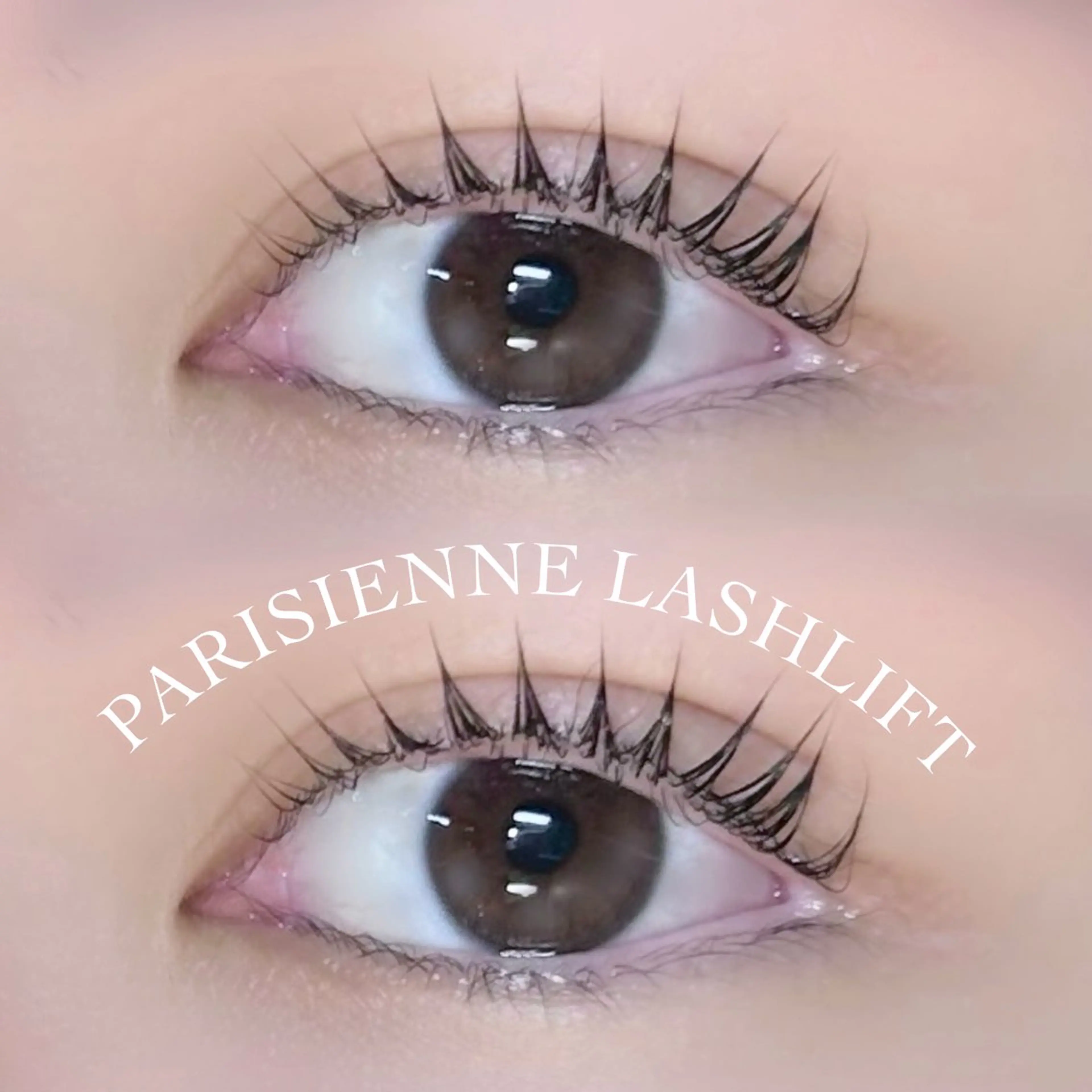 マツエク・マツパ パリジェンヌラッシュリフト 🩷まつげパーマ/ マツエク/アイリ💚のマツエク・マツパデザイン