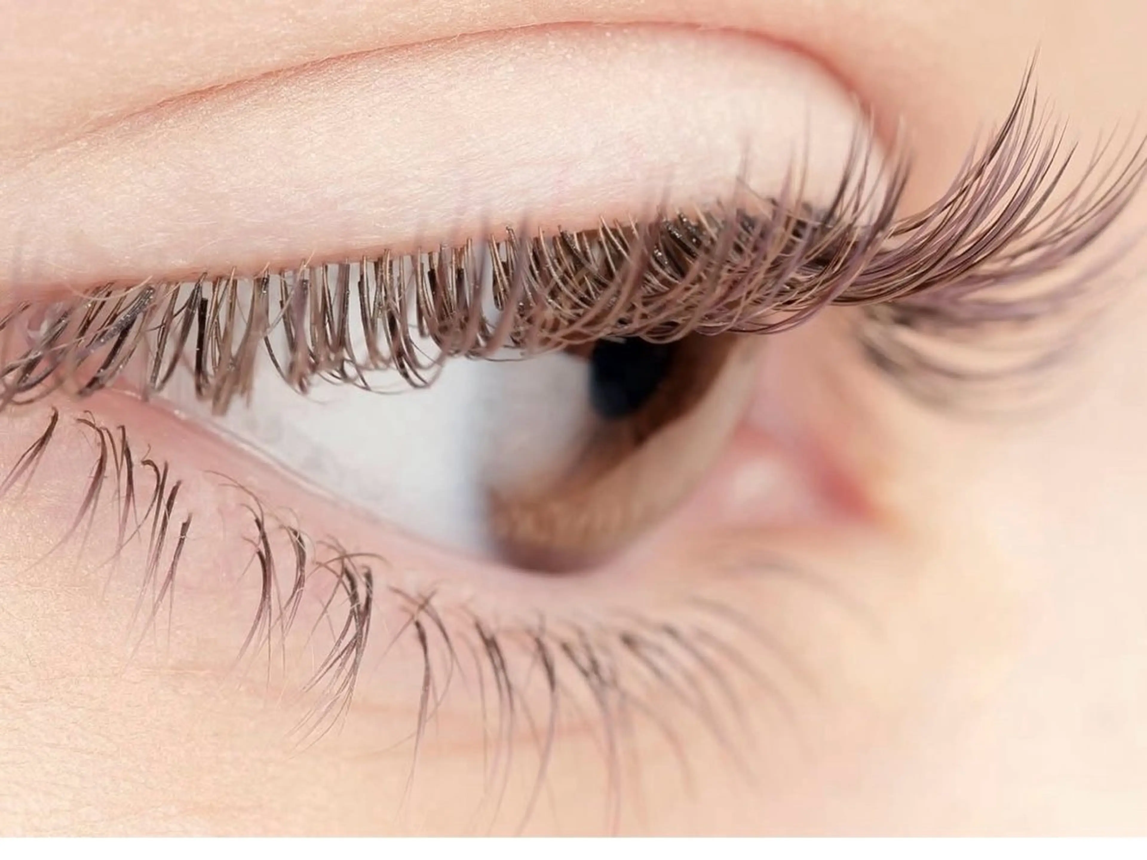 マツエク・マツパ マツエク マックス サロン東池袋のマツエク・マツパデザイン