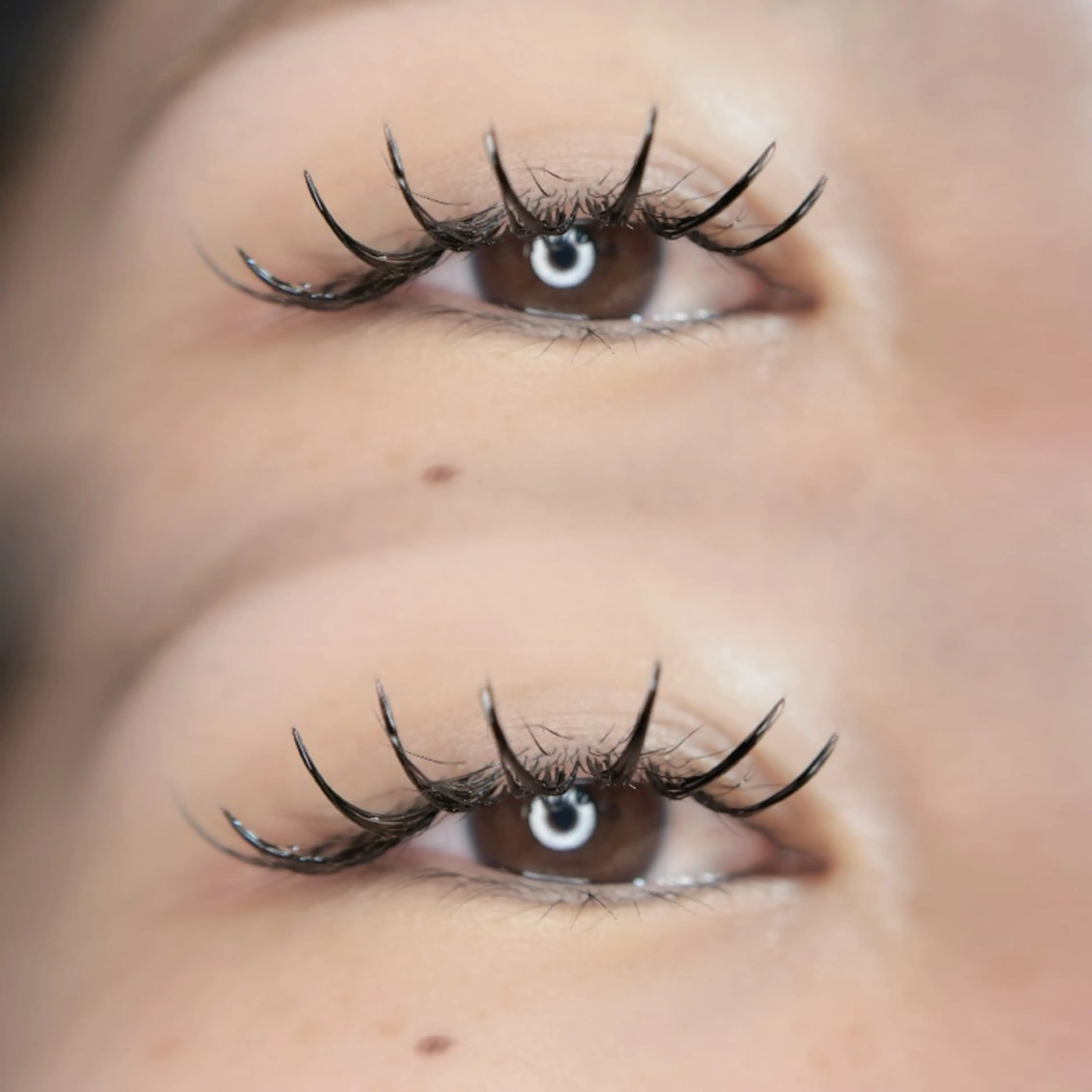 マツエク・マツパ マツエク 🦋MaaZlash 南流山FUKA🤍のマツエク・マツパデザイン