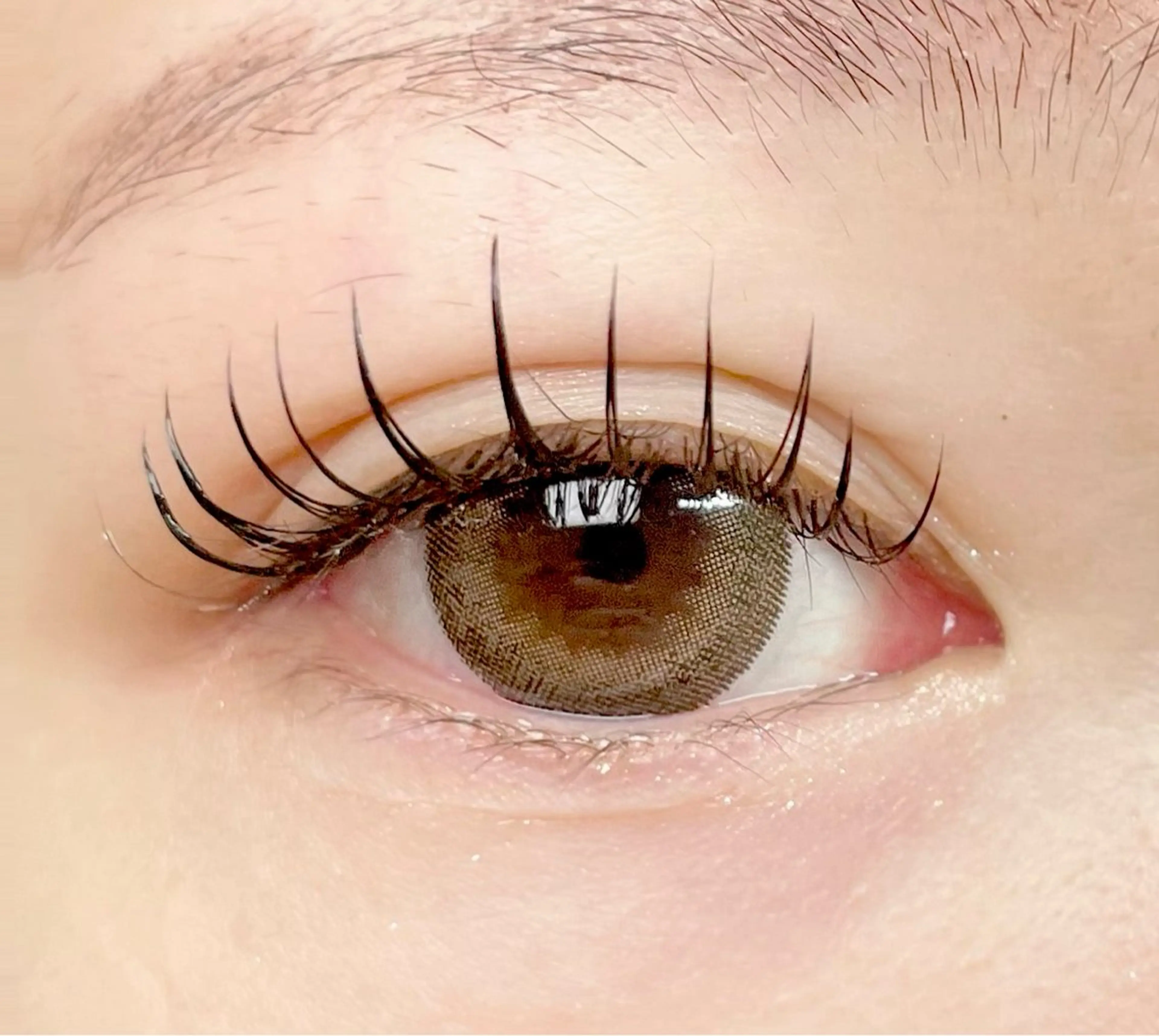 マツエク・マツパ フラットラッシュ ank アンクのマツエク・マツパデザイン