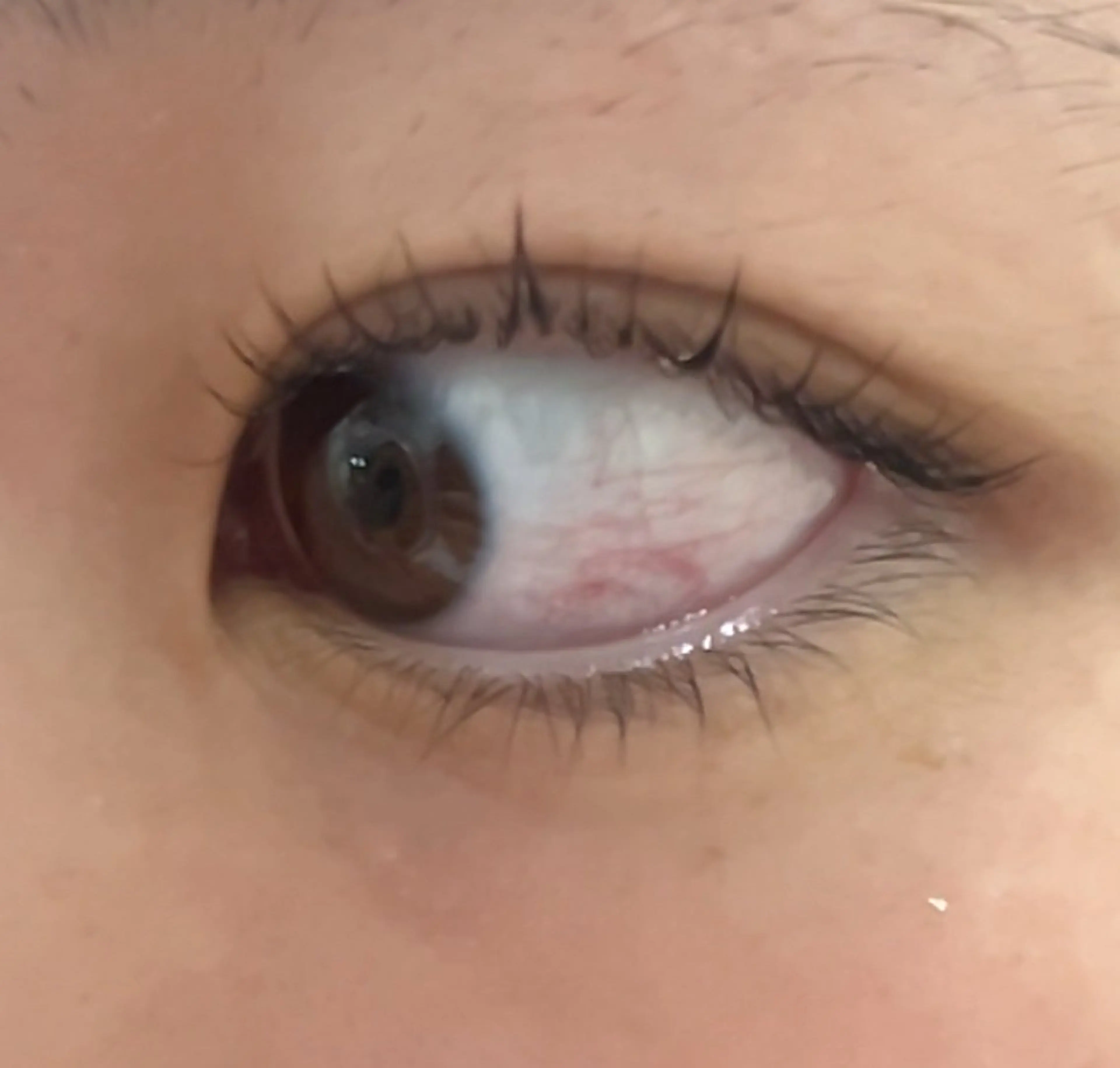 マツエク・マツパ マツパ マツエク ALO'HALOのマツエク・マツパデザイン