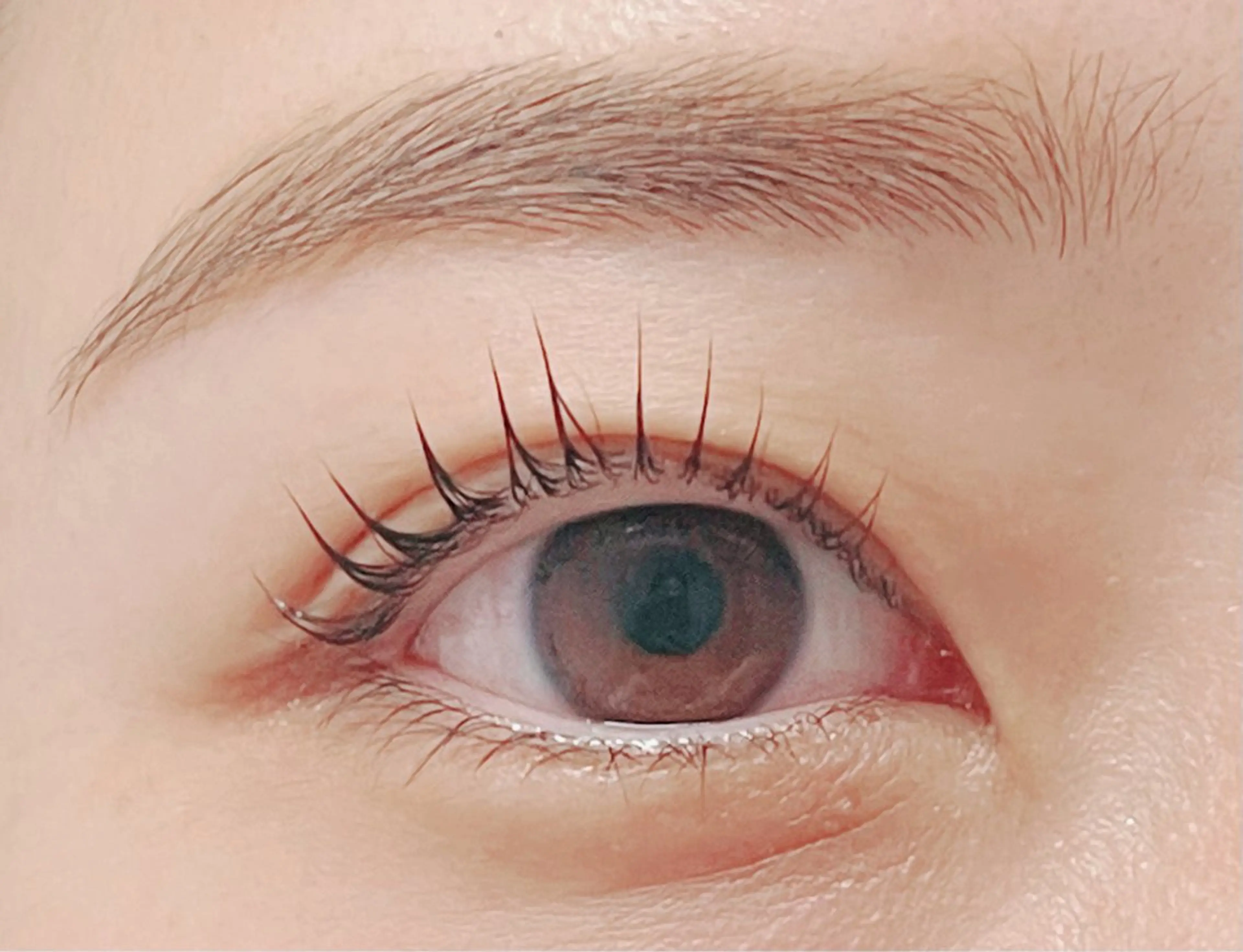 価格　lush lift上のみの写真