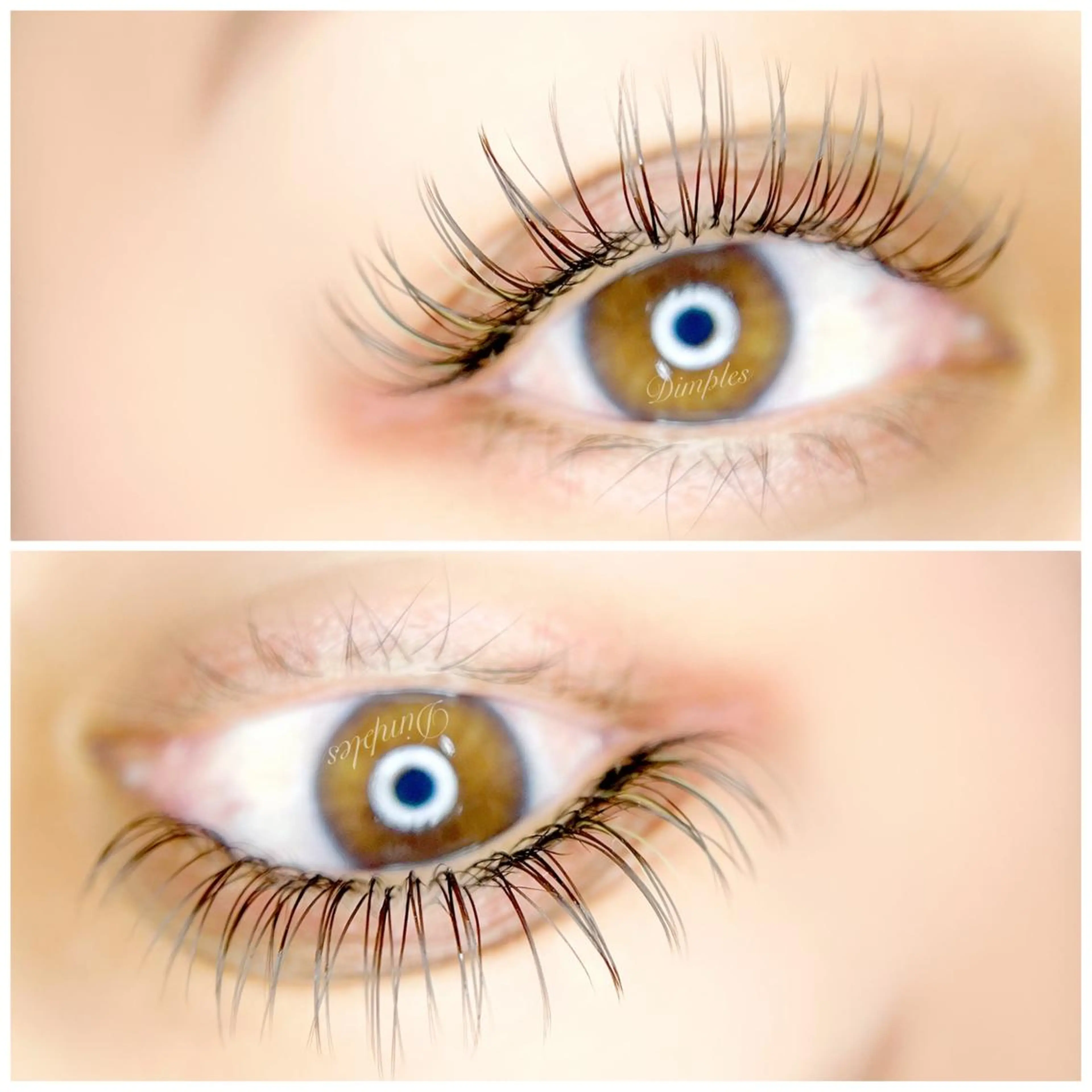マツエク・マツパ Dimples eyelashのエステ・リラクイメージ