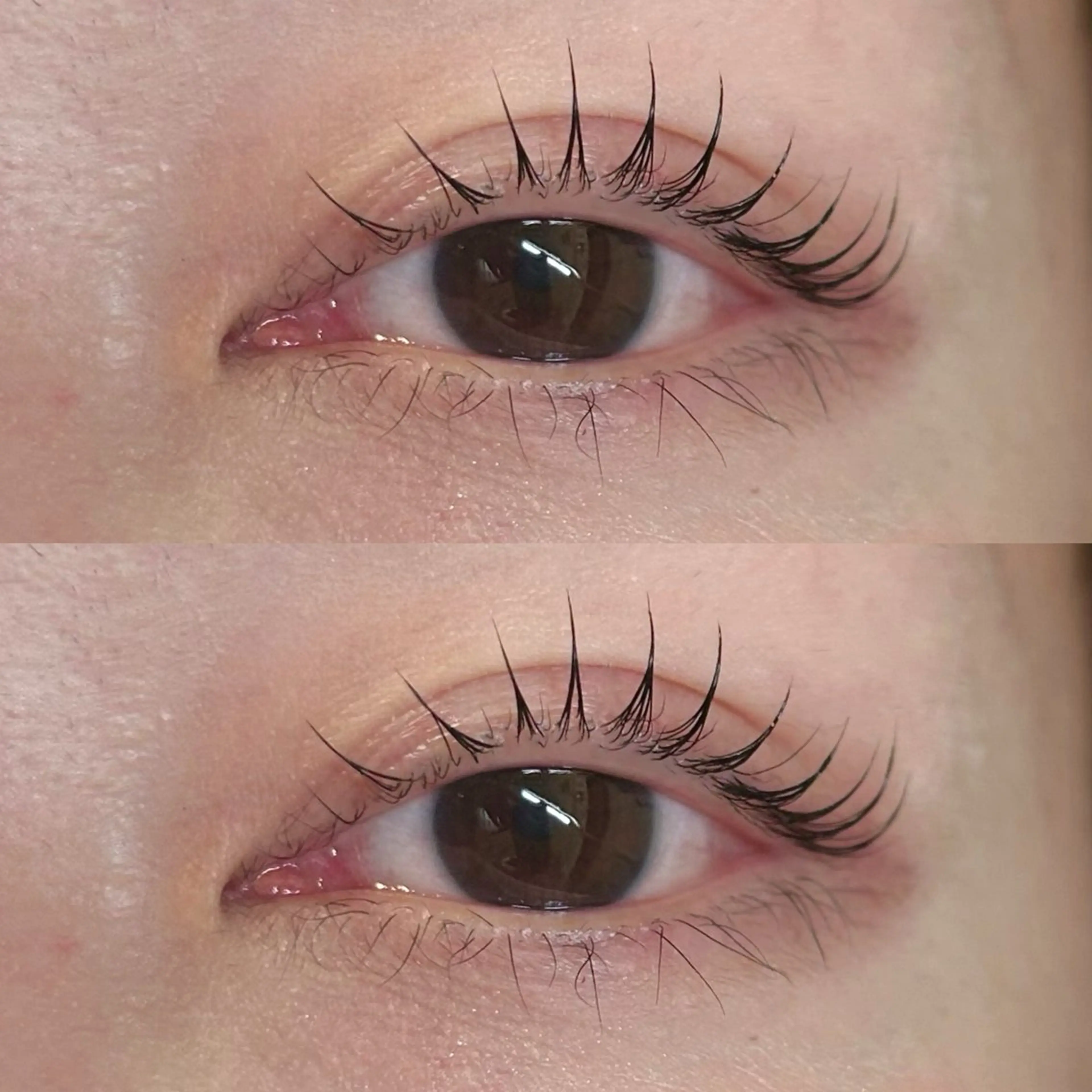 マツエク・マツパ マツパ Rise 🎀のマツエク・マツパデザイン