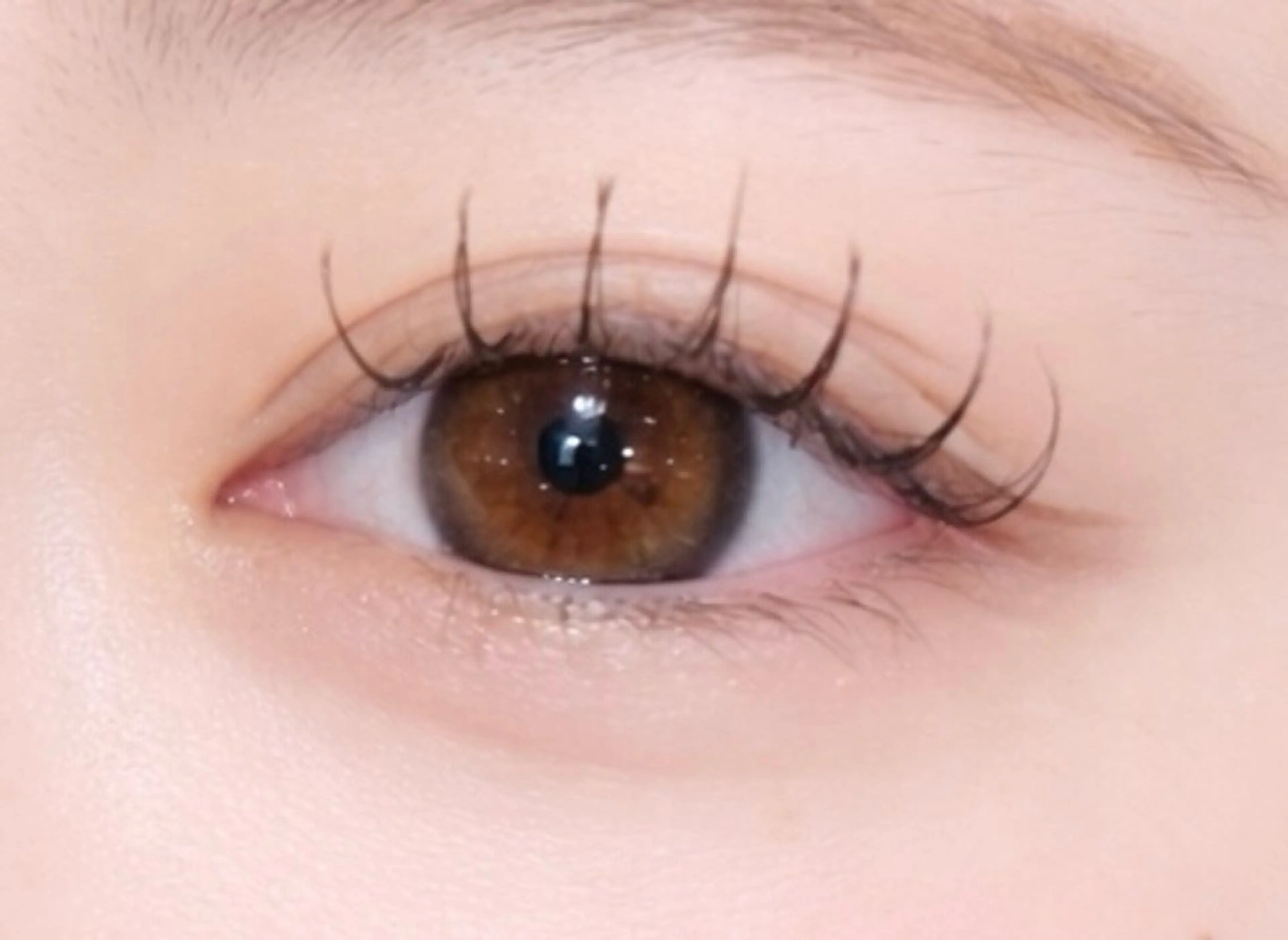 マツエク・マツパ aya💋 en  reveのマツエク・マツパデザイン