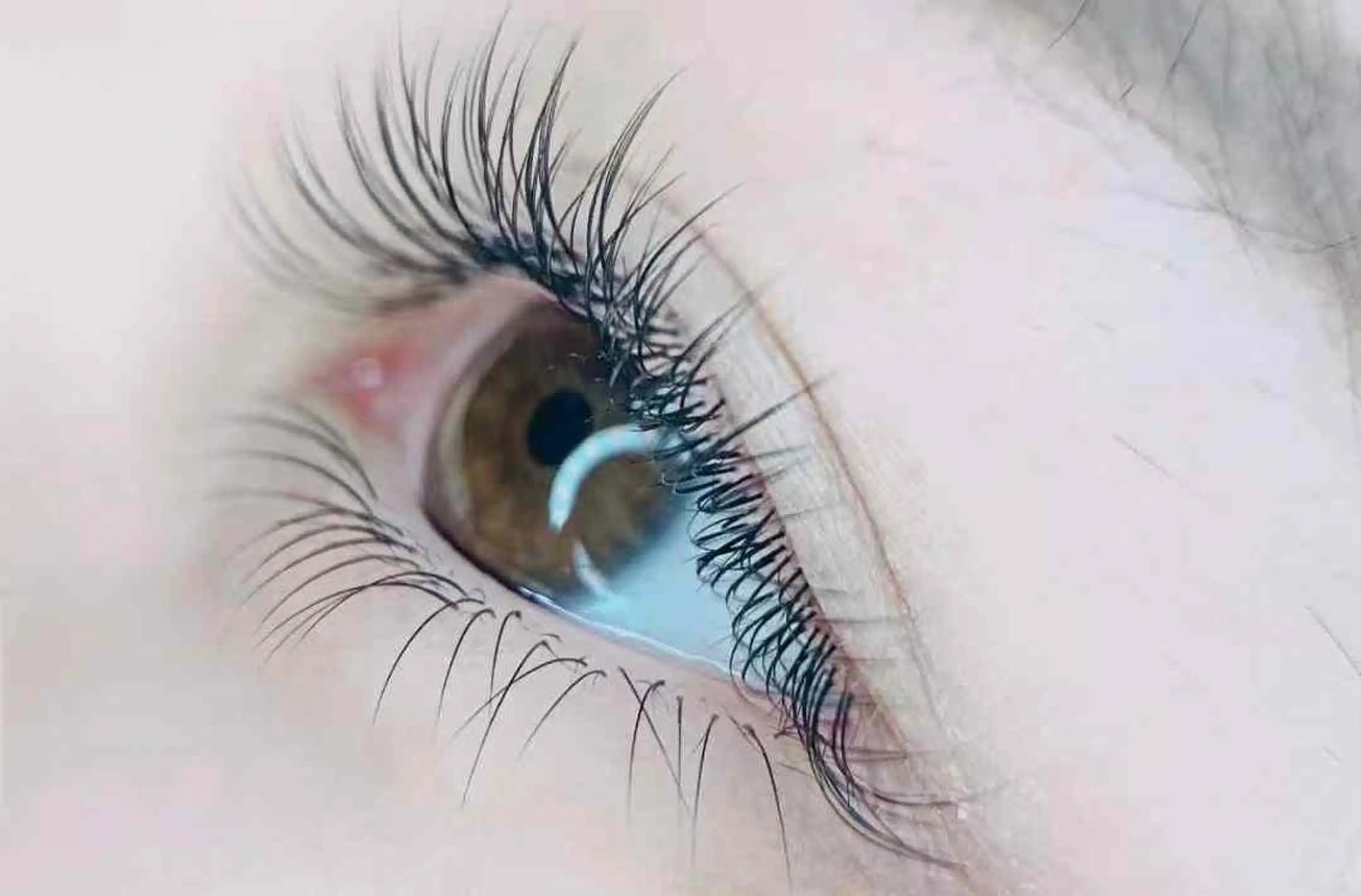 マツエク・マツパ マツエク AB マツエクネイルサロンのマツエク・マツパデザイン