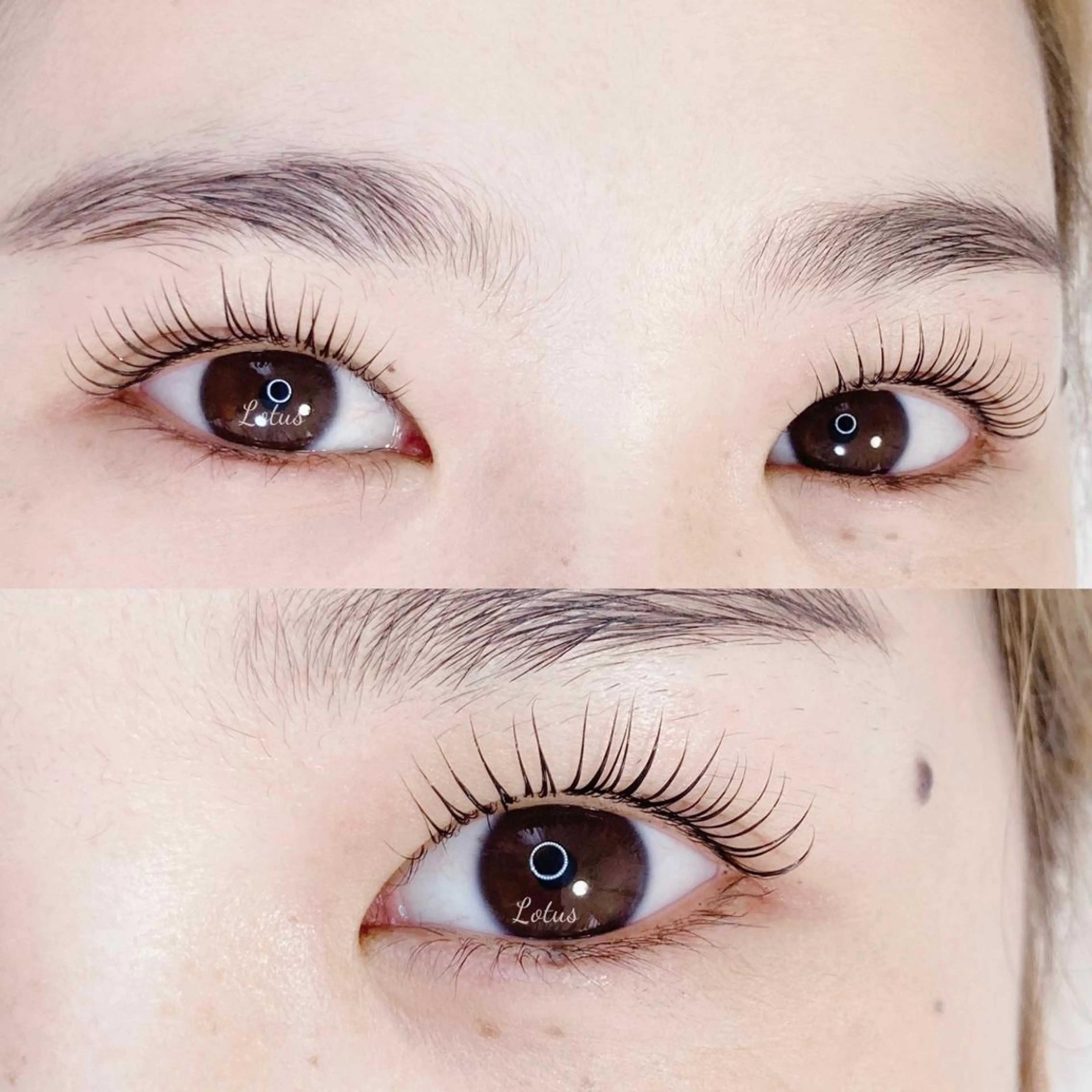 マツエク・マツパ マツパ Lotus所属・Lotus ロータスのマツエク・マツパデザイン