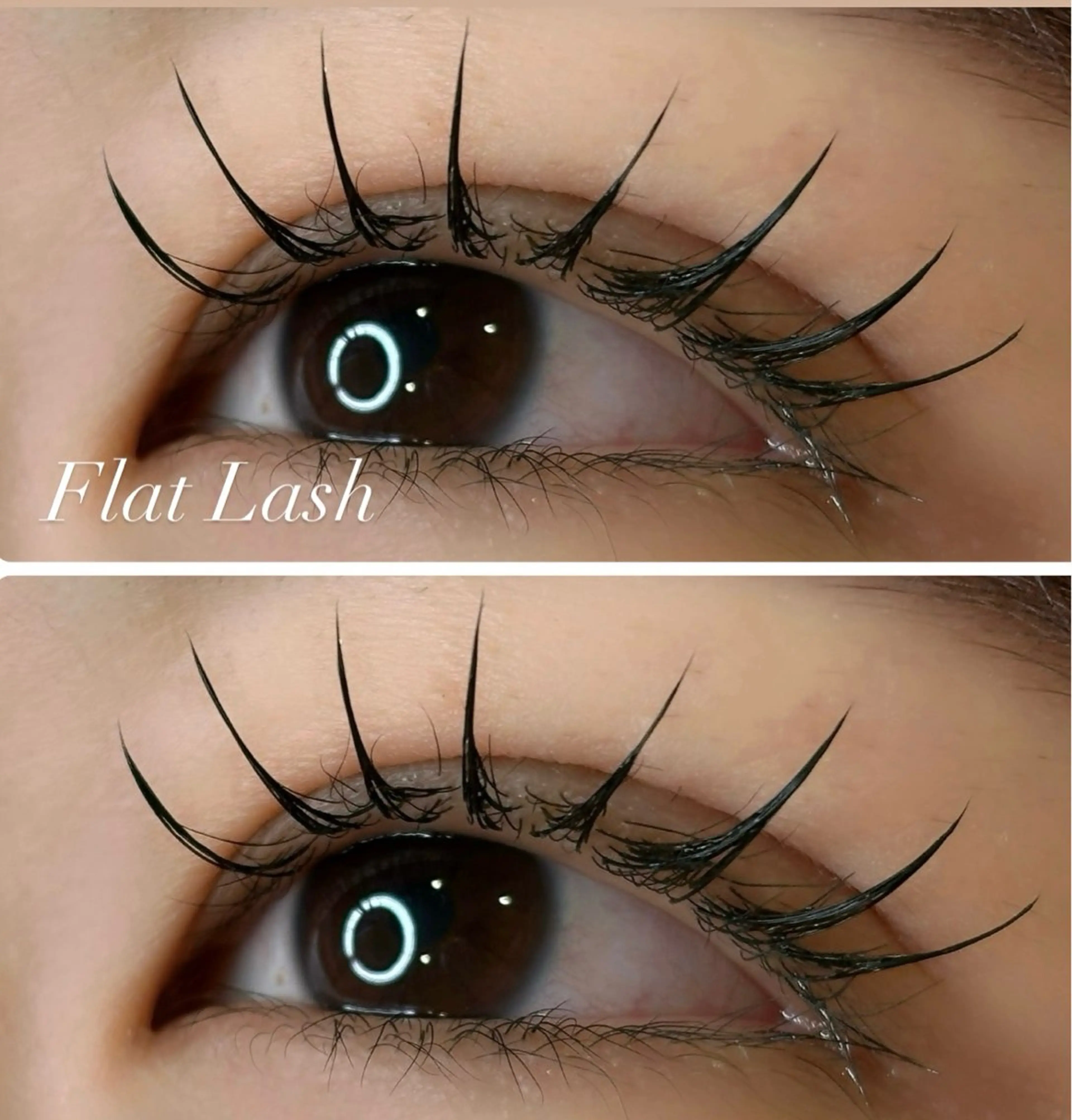 LEDフラットラッシュ100本の写真