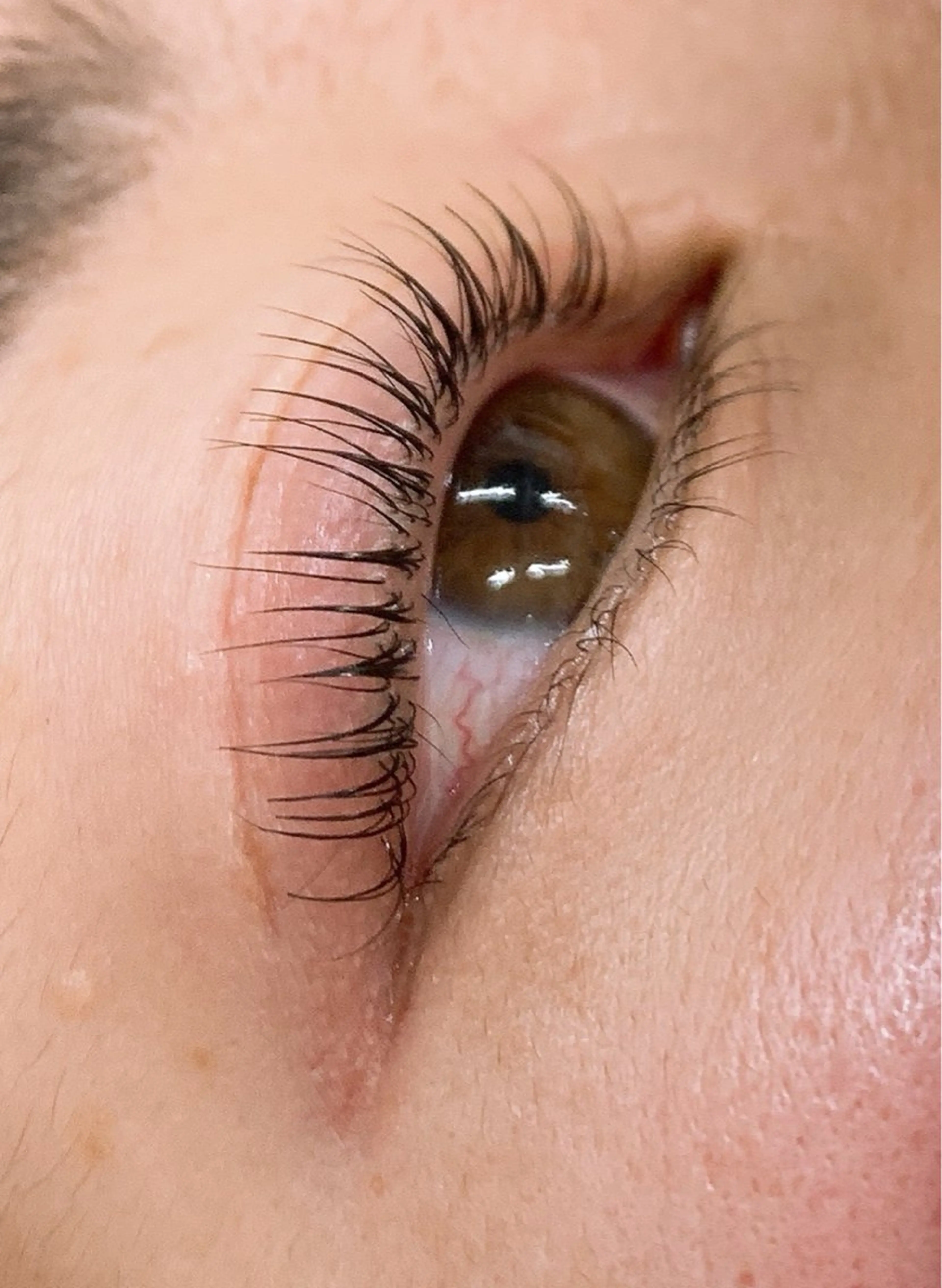 マツエク・マツパ マツパ eyelash CLAYの眉毛・アイブロウイメージ