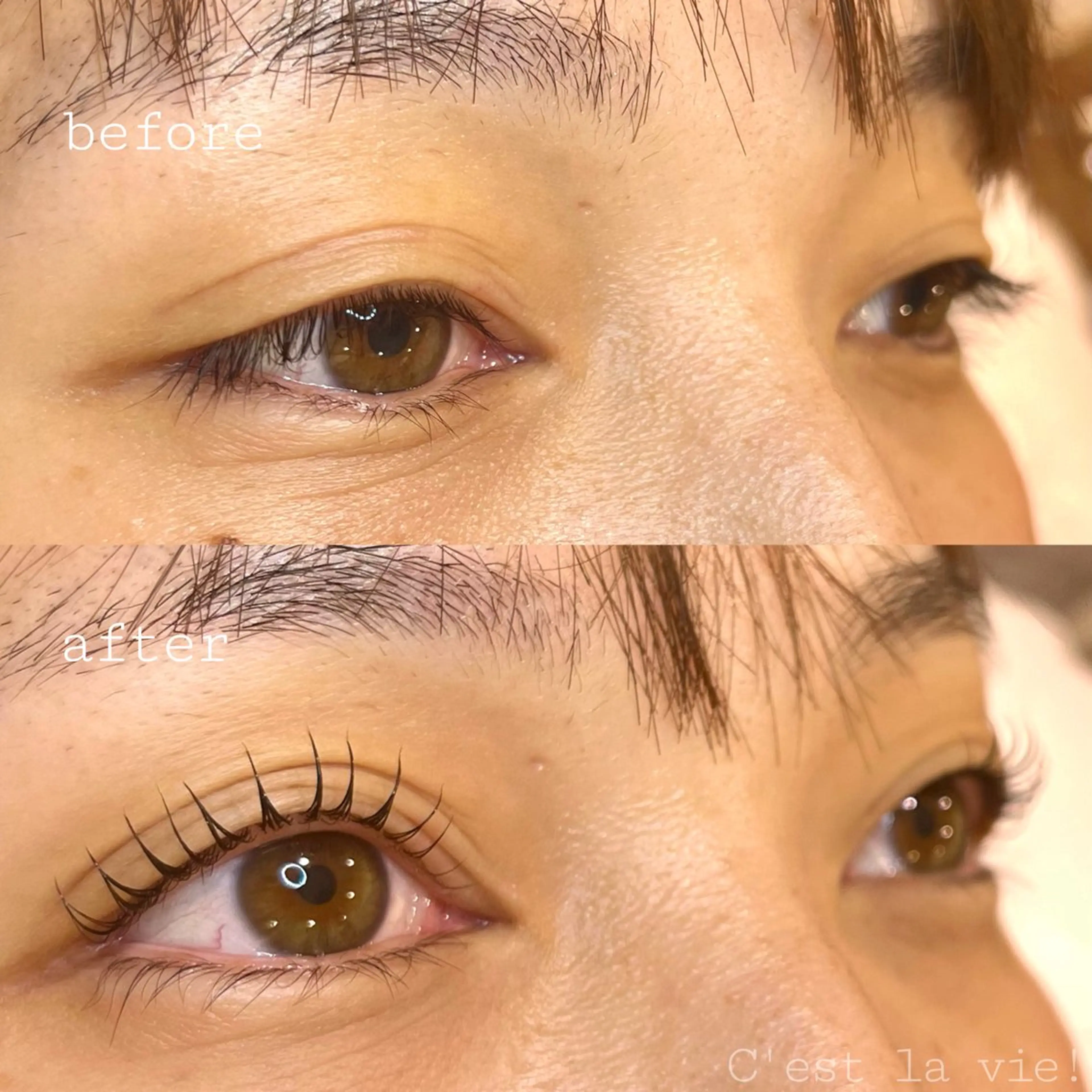 マツエク・マツパ Cestlavie! KOHTANIのマツエク・マツパデザイン