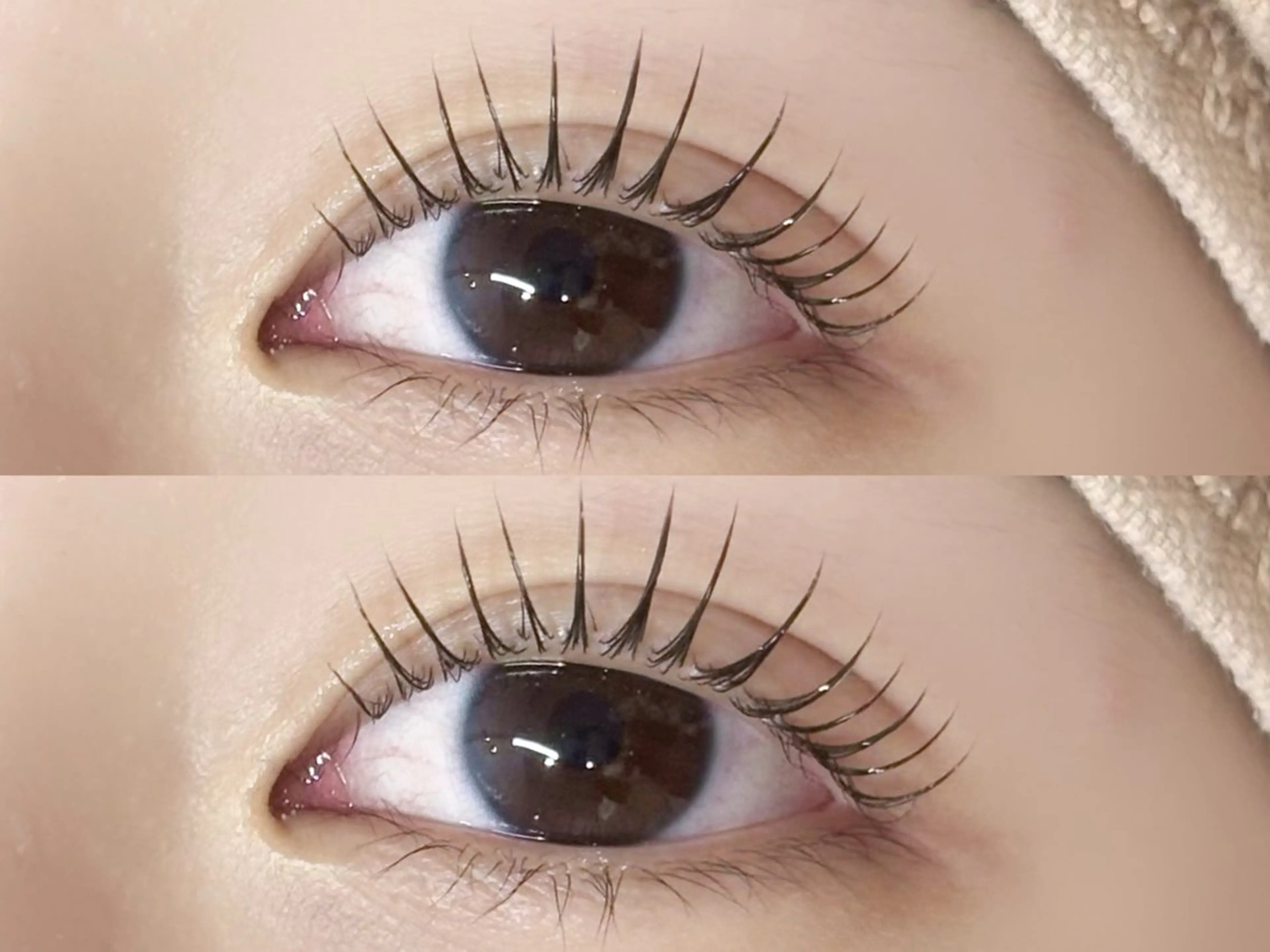 マツエク・マツパ マツパ メンズ特化 👦🏻✨memeの眉毛・アイブロウイメージ