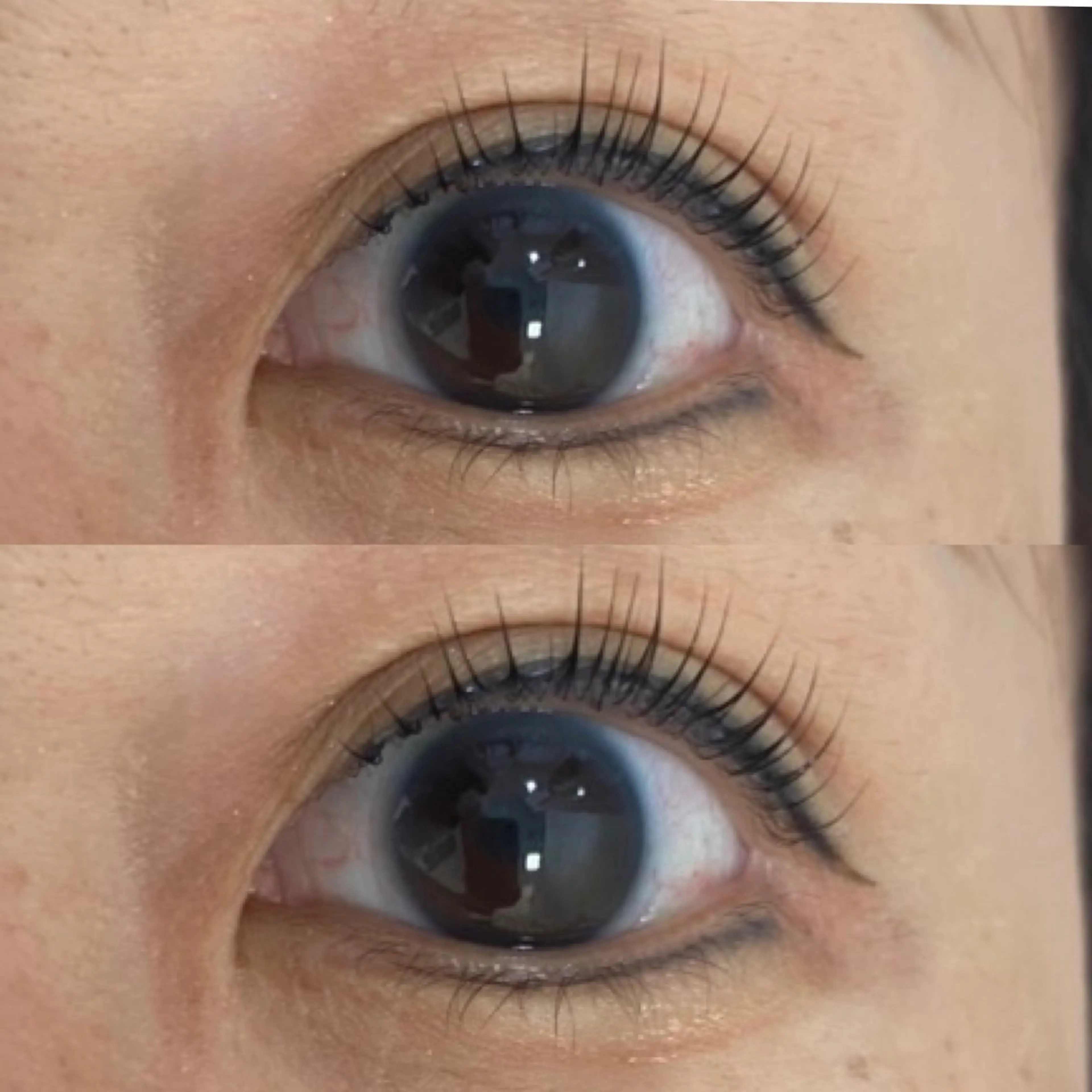 マツエク・マツパ パリジェンヌラッシュリフト EYELA銀座店🎀 Momoneのマツエク・マツパデザイン