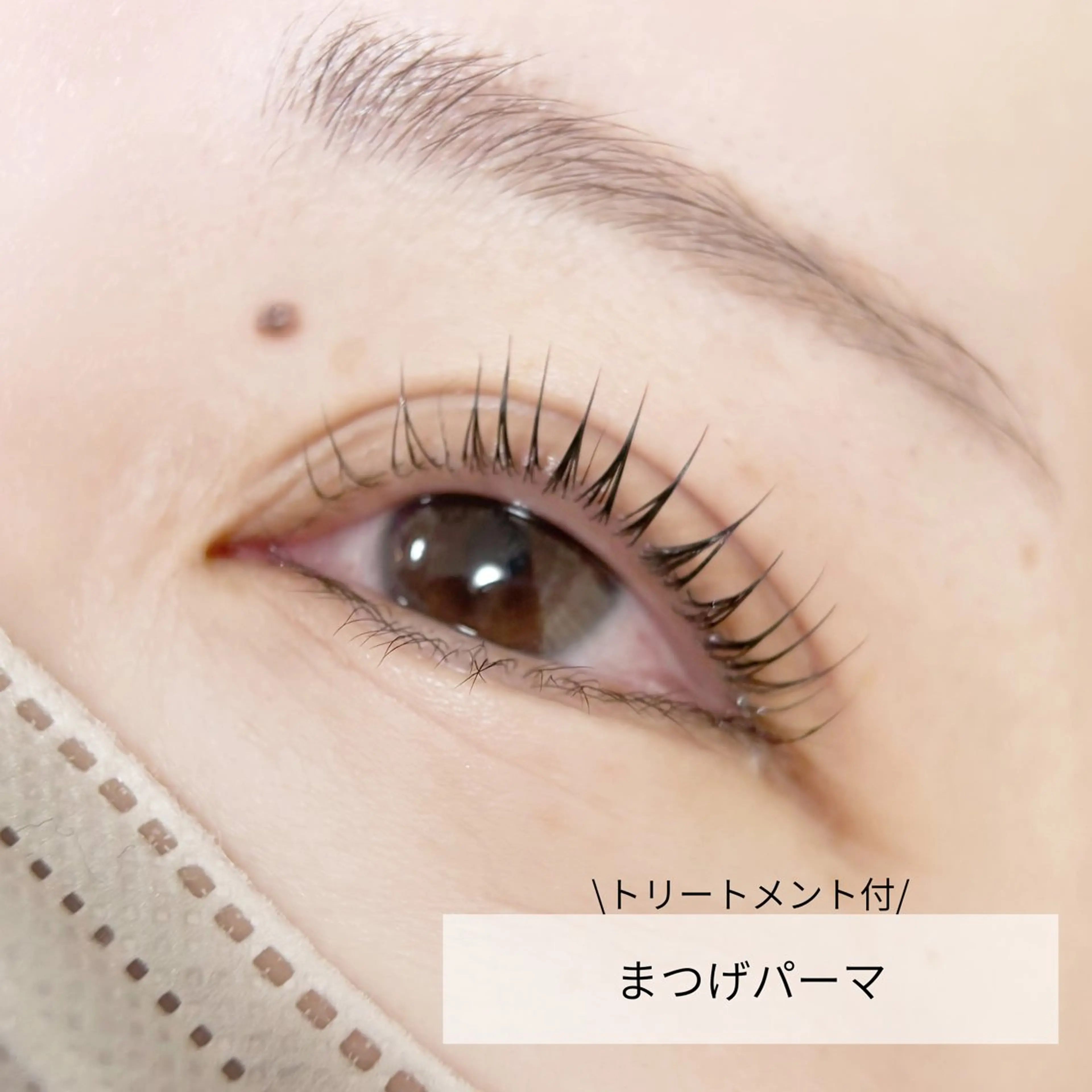 女性限定/似合わせまつ毛パーマ ¥4,000→¥3,500の写真