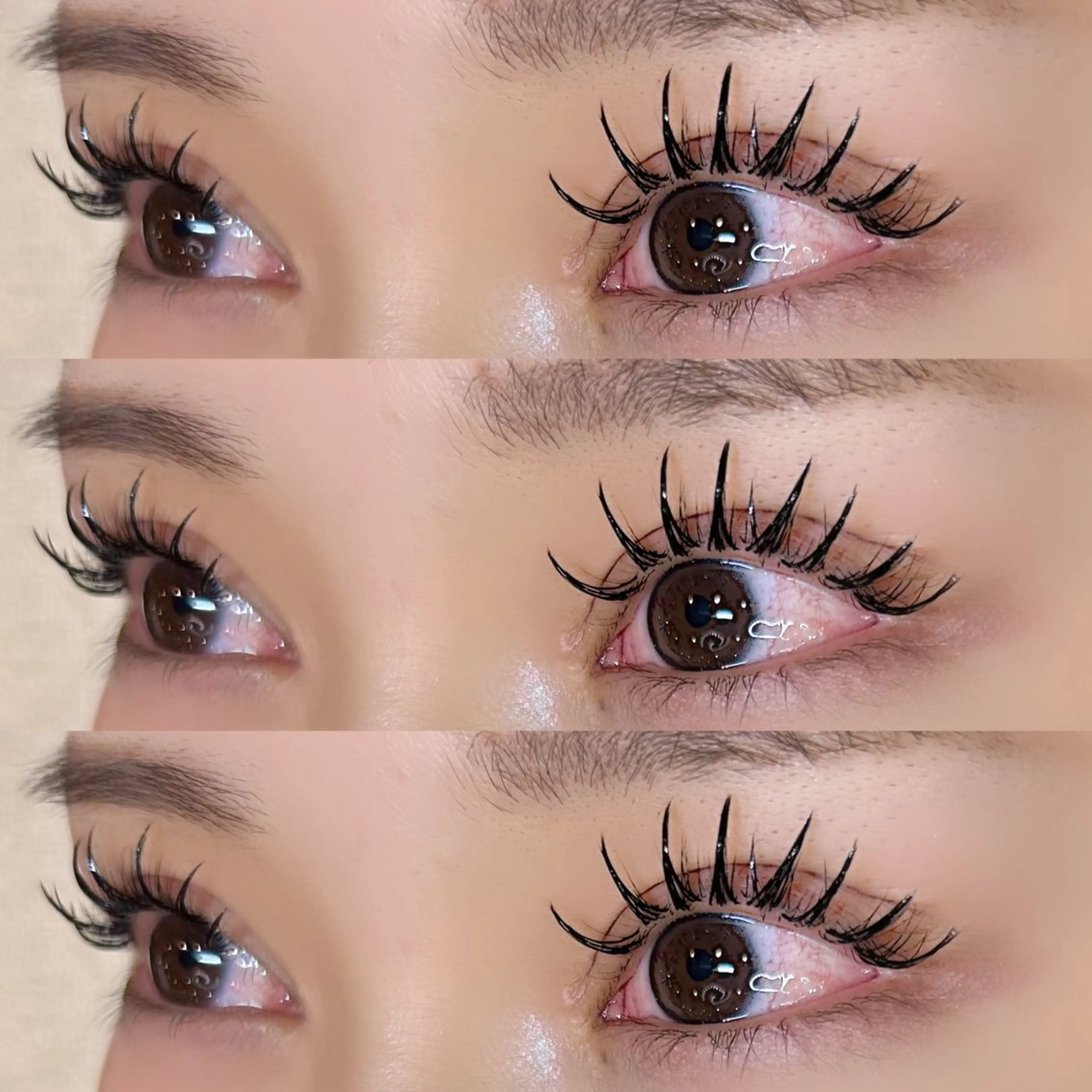 【パリエク🐋】パリジェンヌ+バインドロック80束〈アイシャンプー付き🫧〉〈オフ＋500円〉の写真