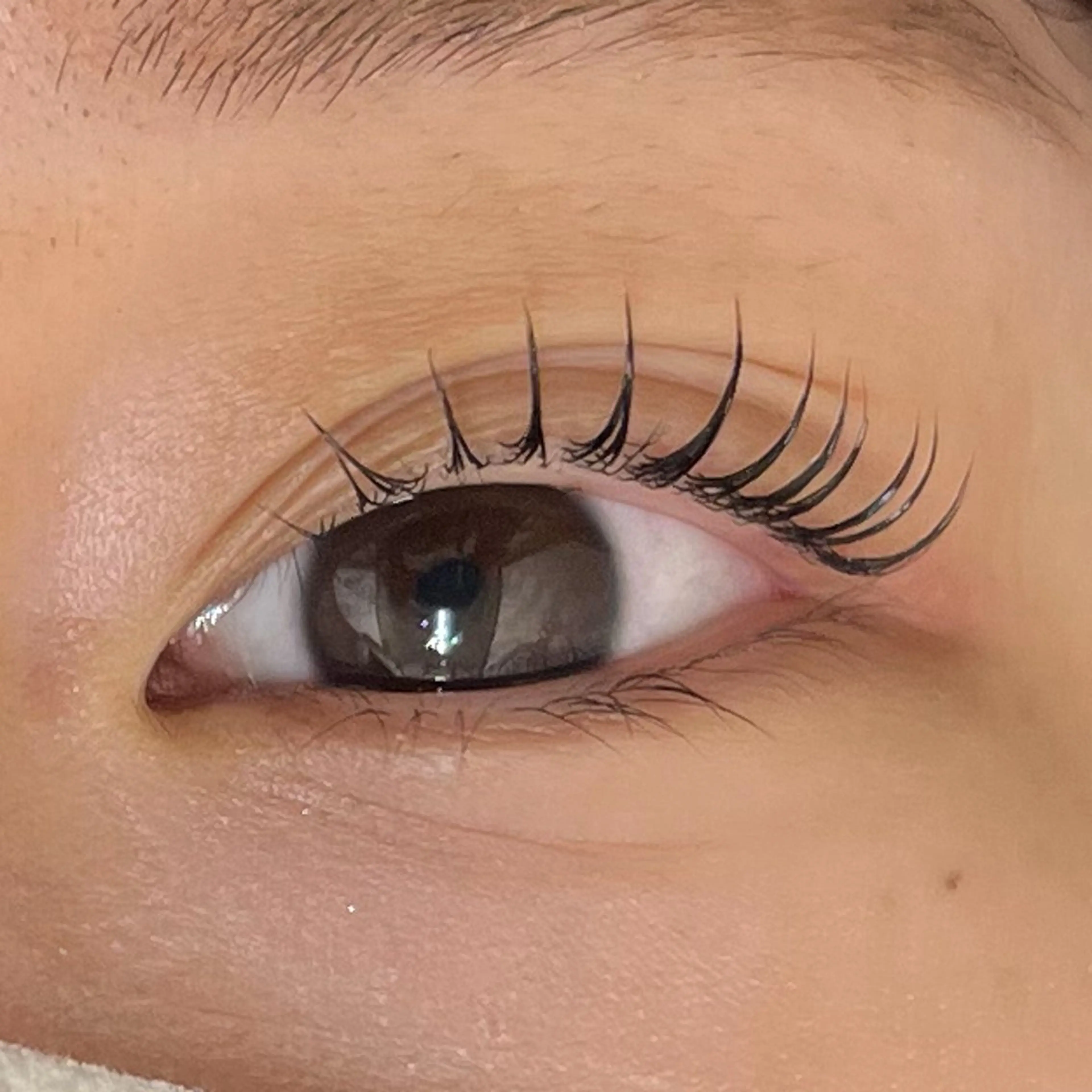 マツエク・マツパ Lifmo立川店 研修生のマツエク・マツパデザイン