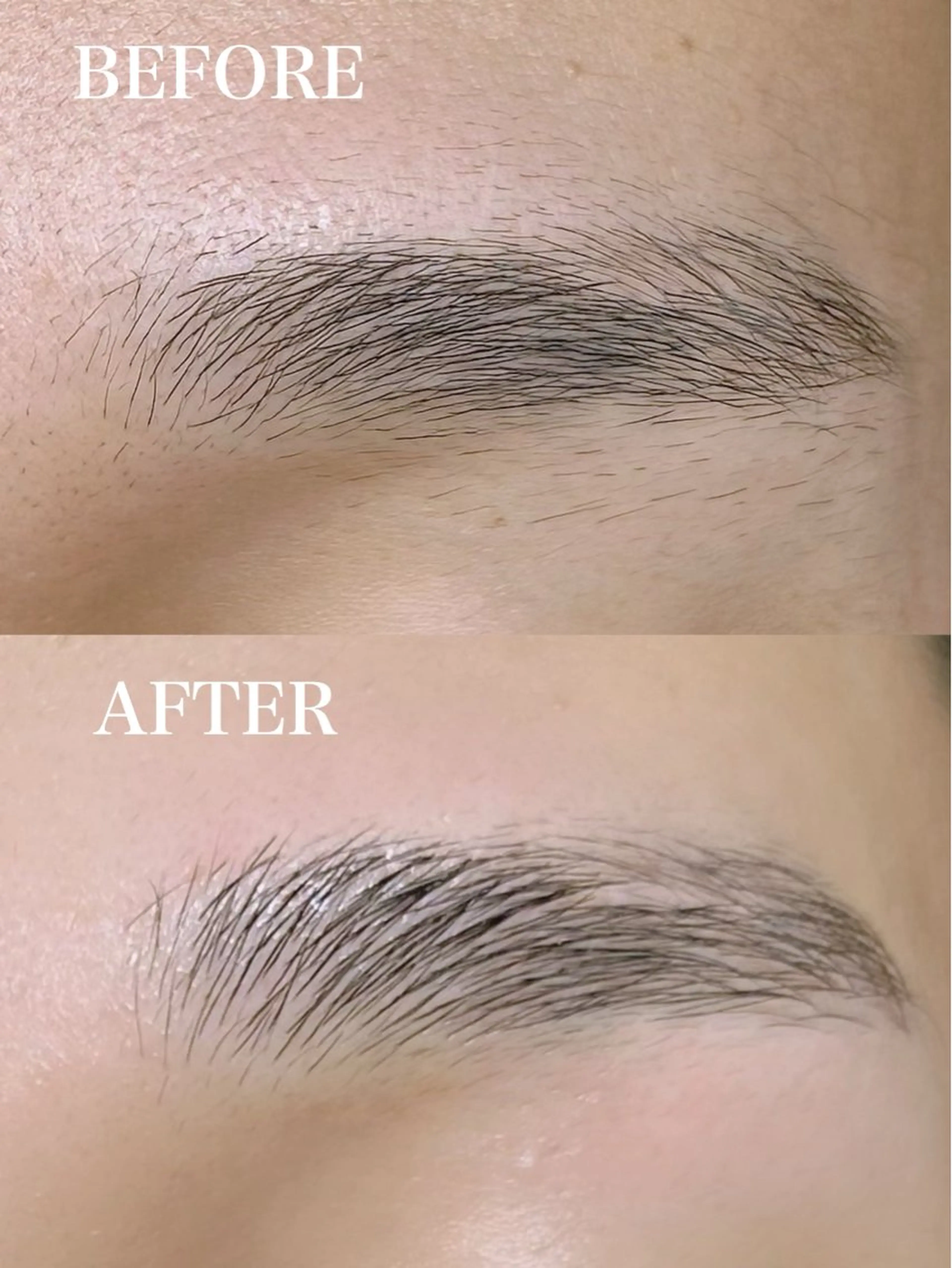 【メンズ】アイブロウワックスの写真