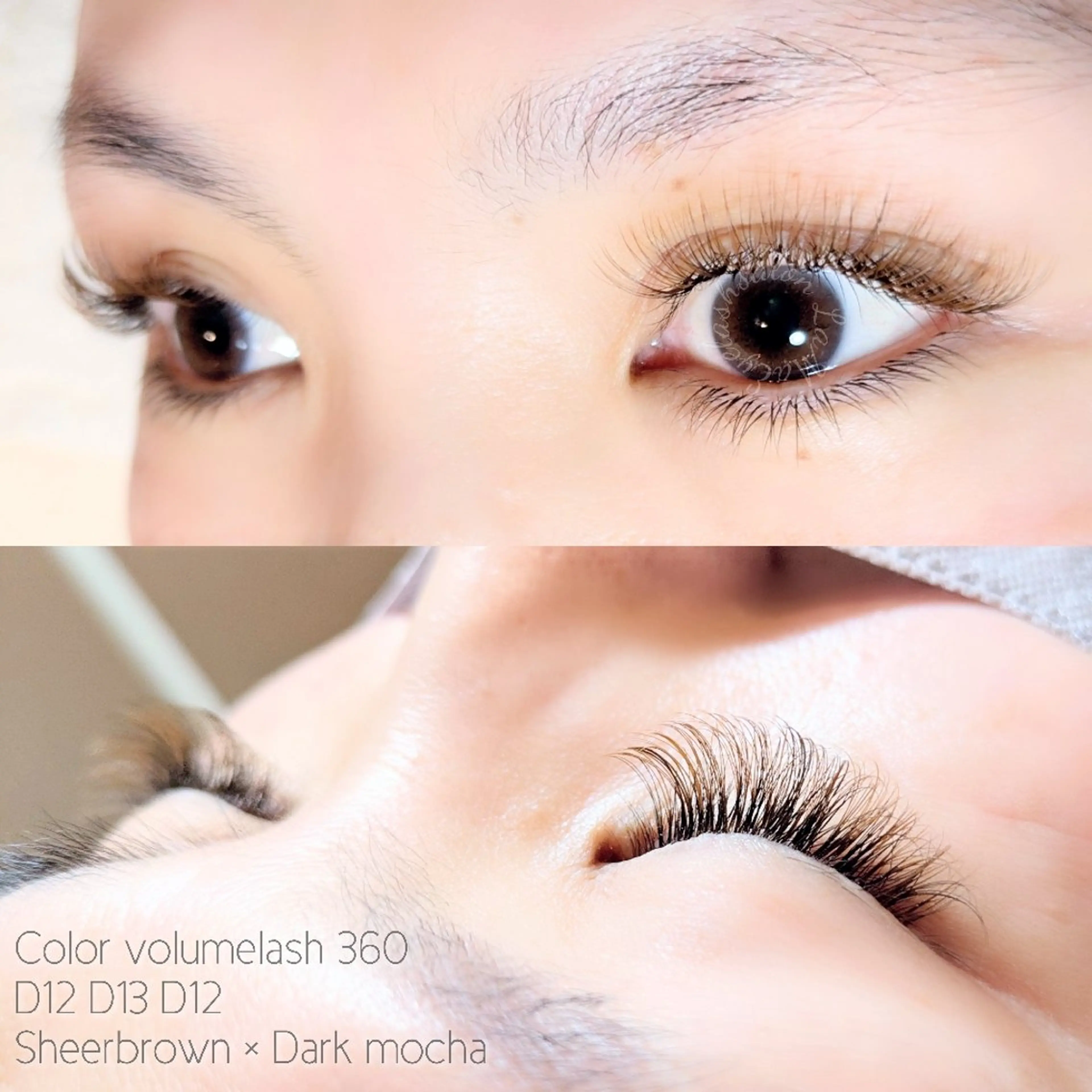 マツエク・マツパ カラーマツエク ナチュラル ボリュームラッシュ LaMa. Yのマツエク・マツパデザイン