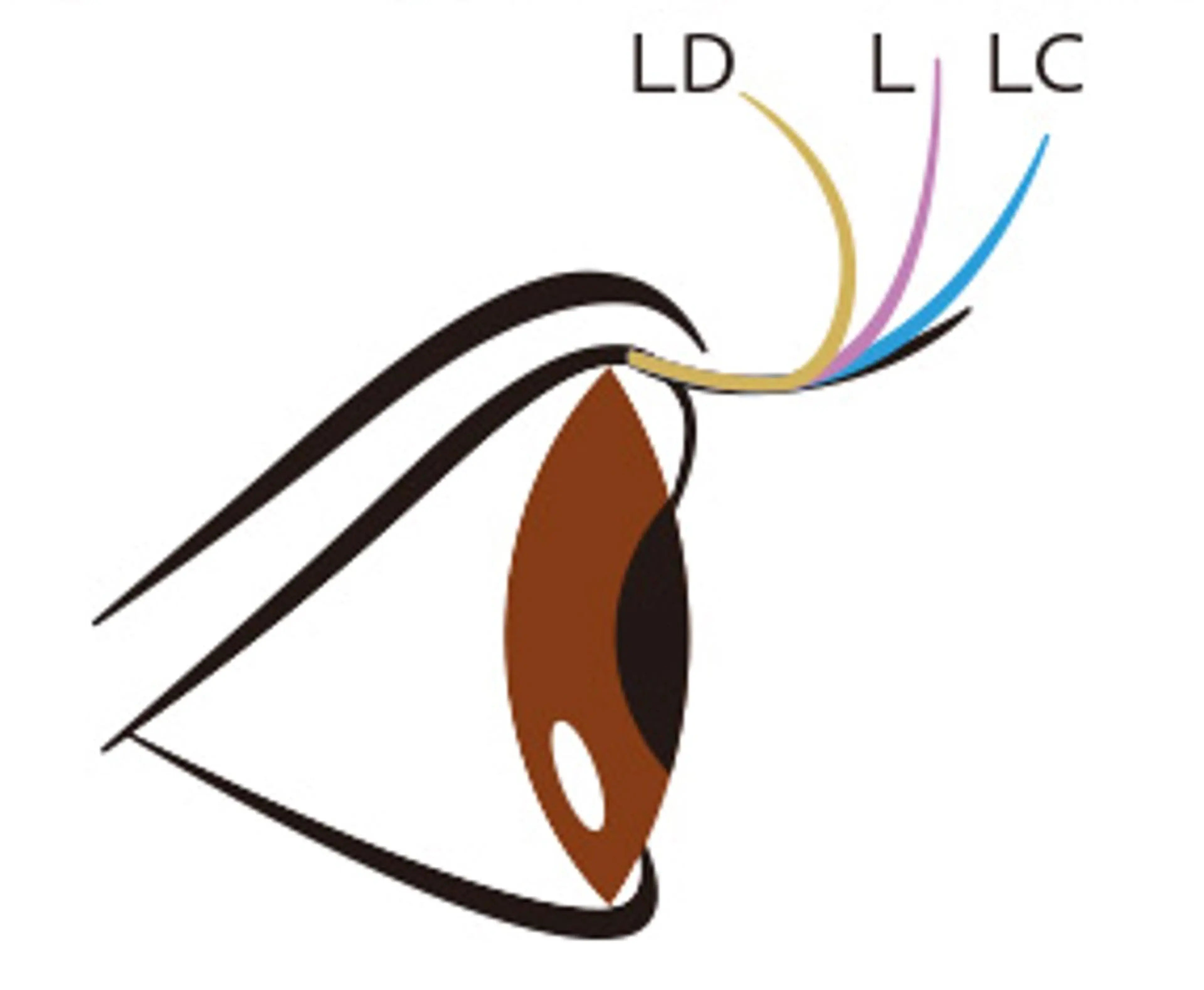 マツエク・マツパ Arana池袋 Ayumi🦋のマツエク・マツパデザイン