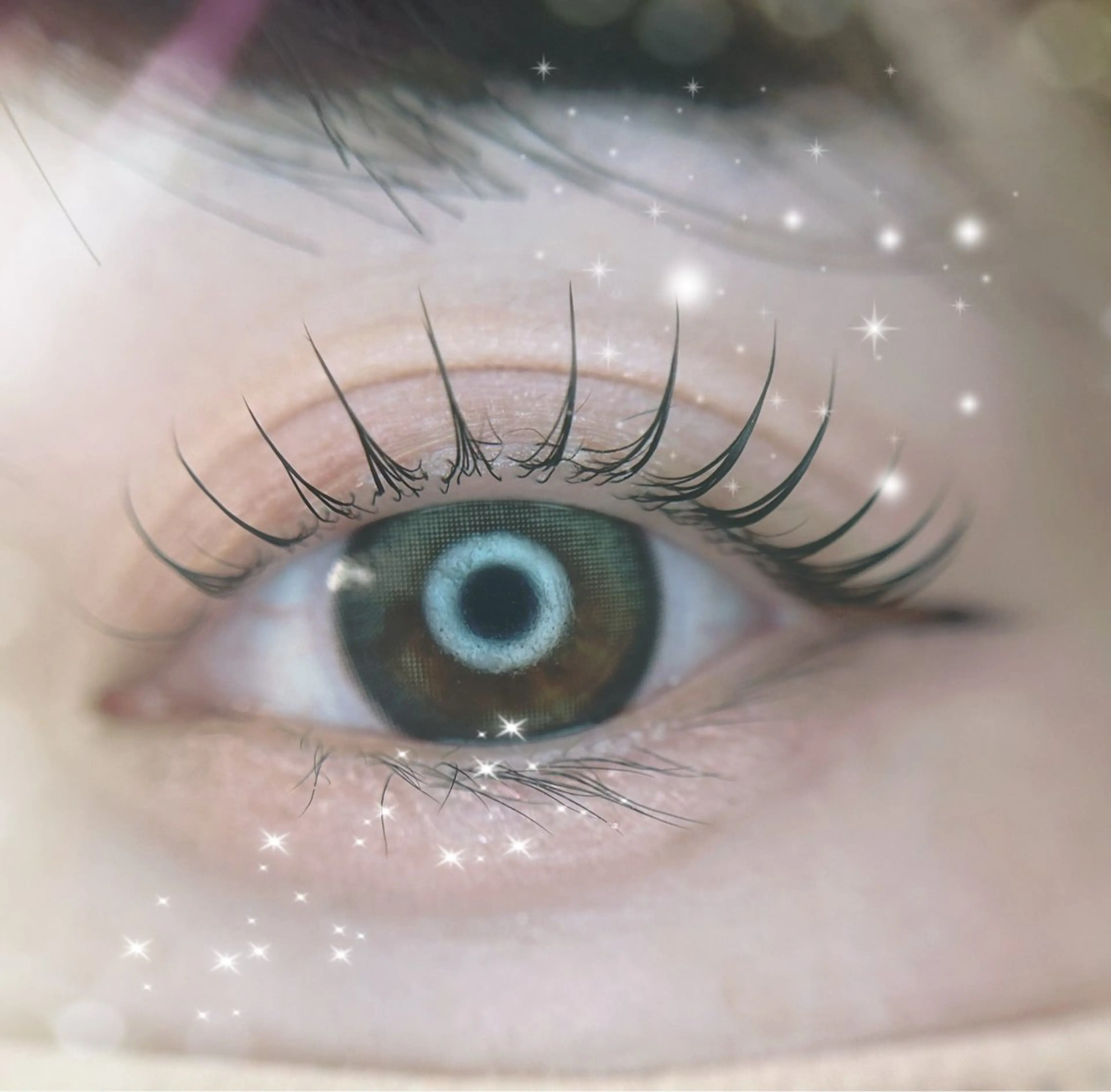 マツエク・マツパ マツパ 🎀eyelist. mizuki🐈⬛の眉毛・アイブロウイメージ