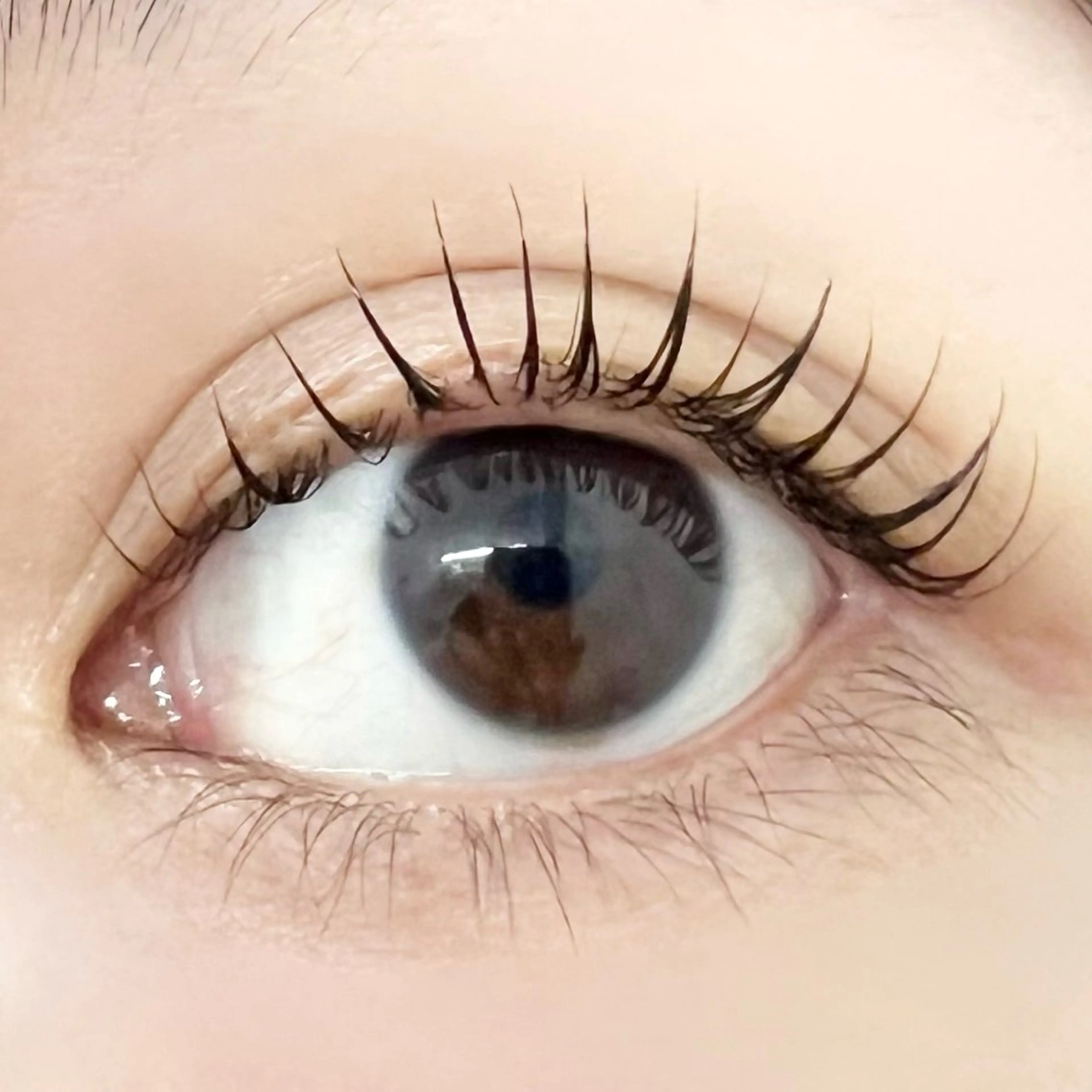 マツエク・マツパ JESSICA荻窪 川窪のマツエク・マツパデザイン