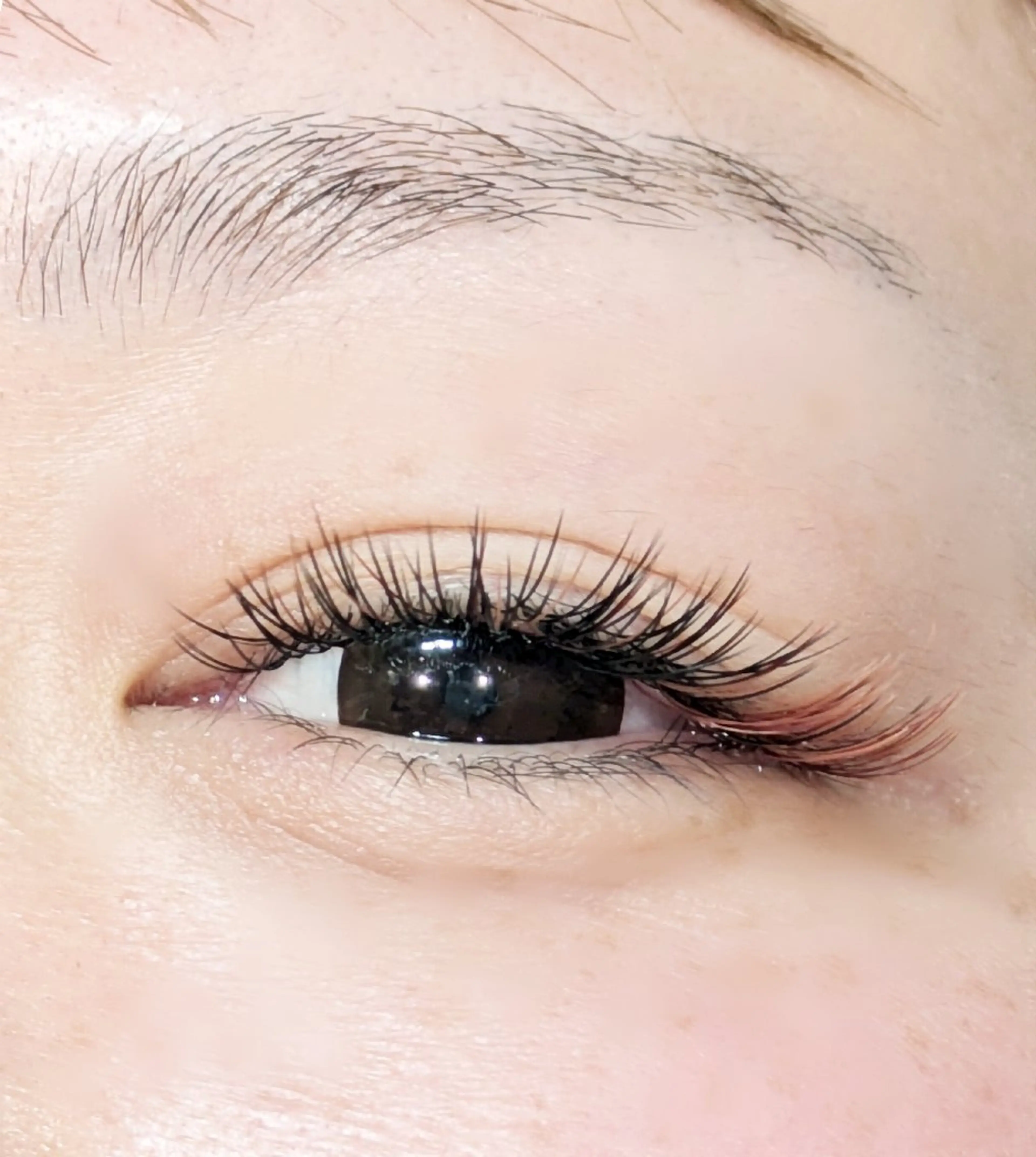 マツエク・マツパ フラットラッシュ マツエク 〚Ａ ｍａｄｅ〛 エーメイドのマツエク・マツパデザイン