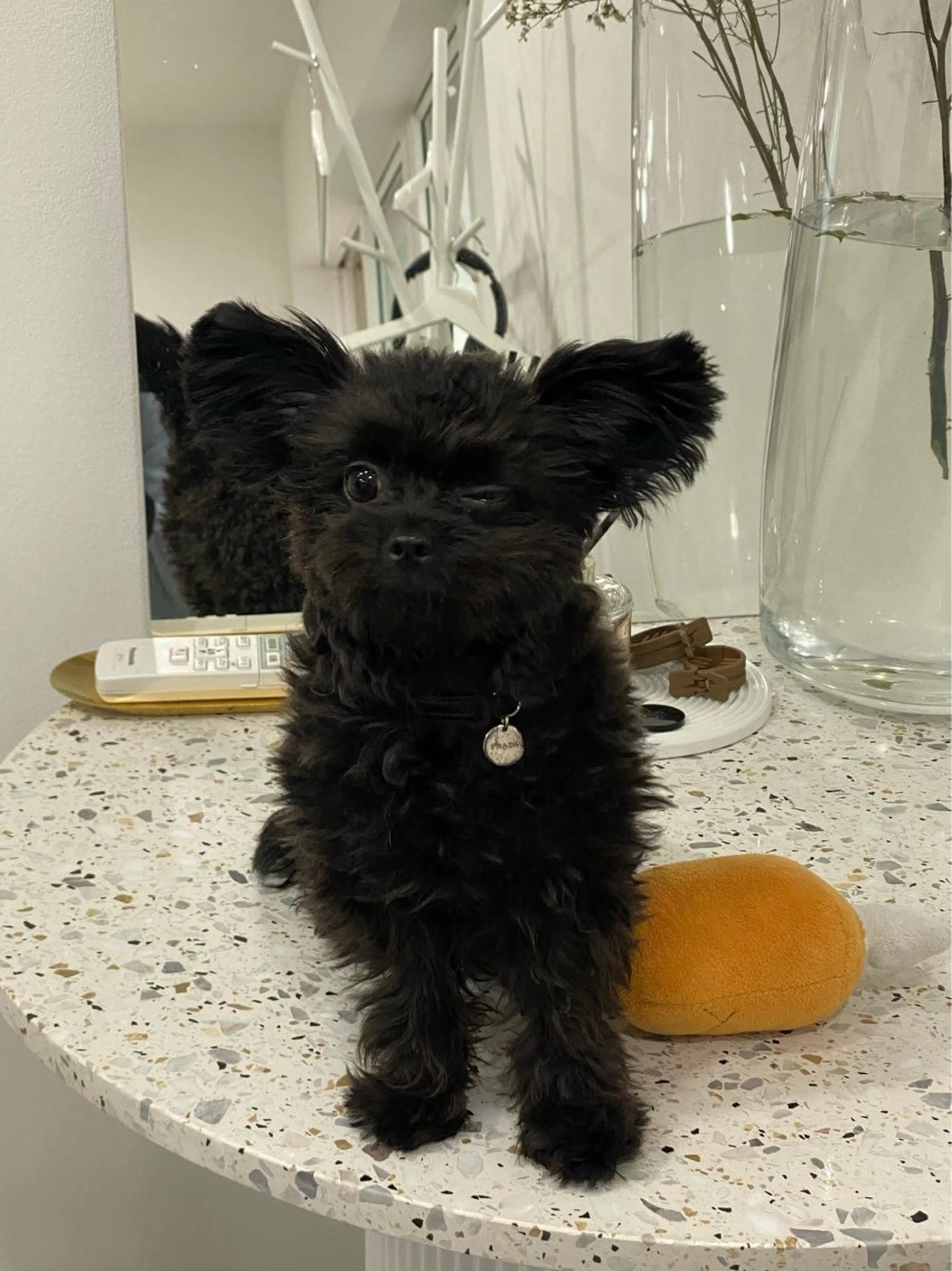 eye salon u-ga所属・eye salon U-ga/中目黒のその他イメージ