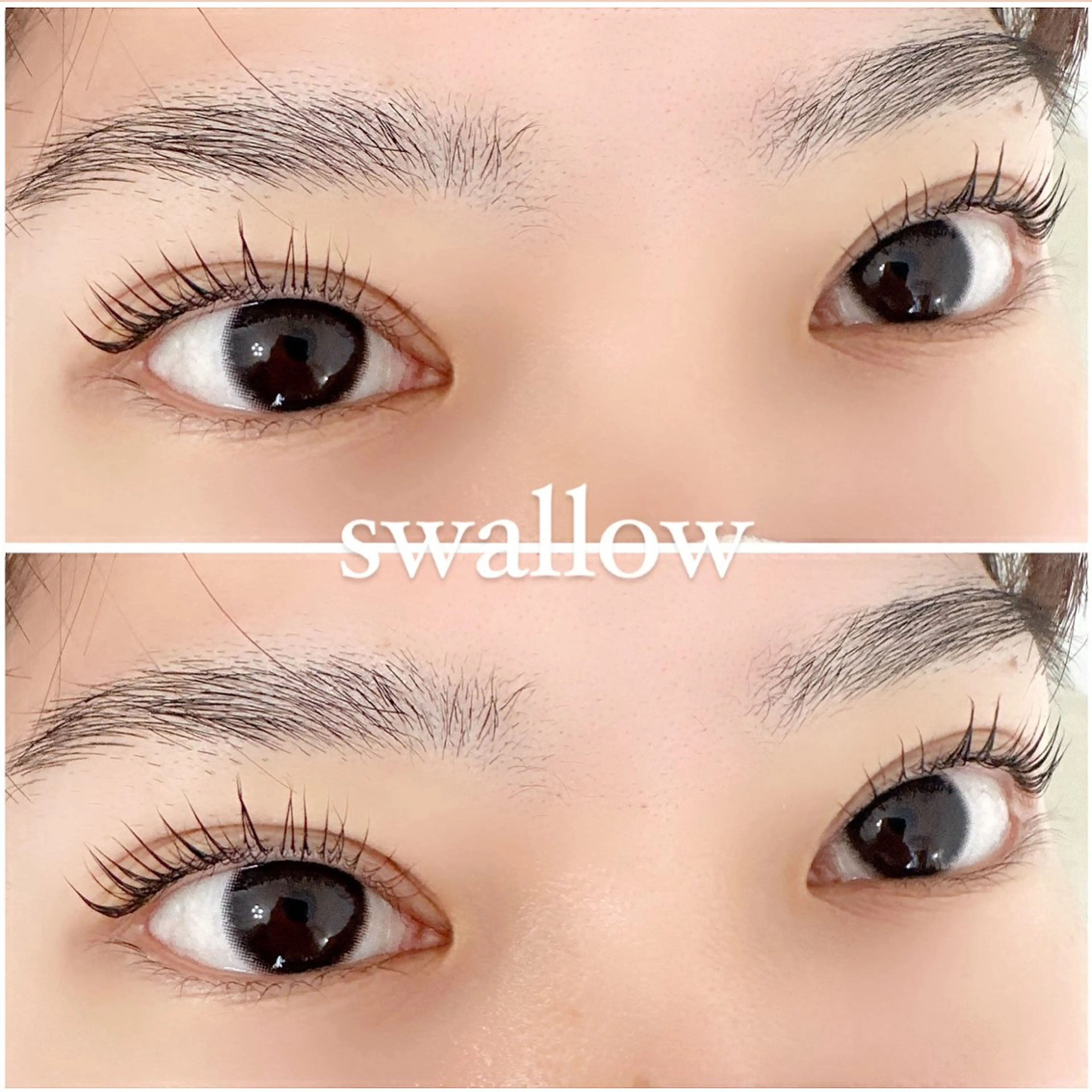 マツエク・マツパ Dカール 一重×まつ毛パーマ マツパ swallow 奈良西大寺店のマツエク・マツパデザイン