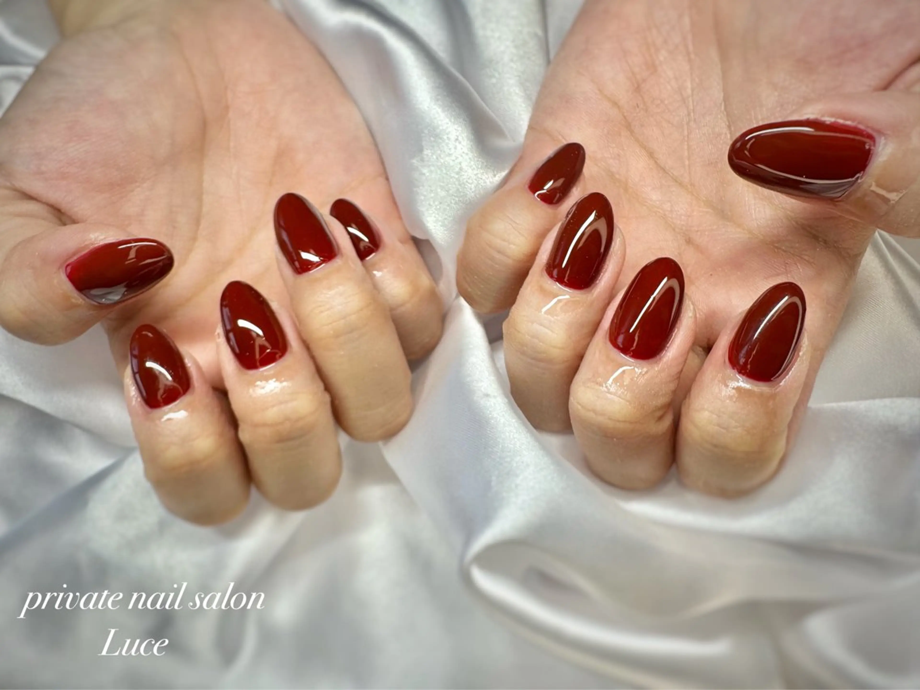 ネイル ハンドネイル nailsalon Luce🕊️のネイルデザイン