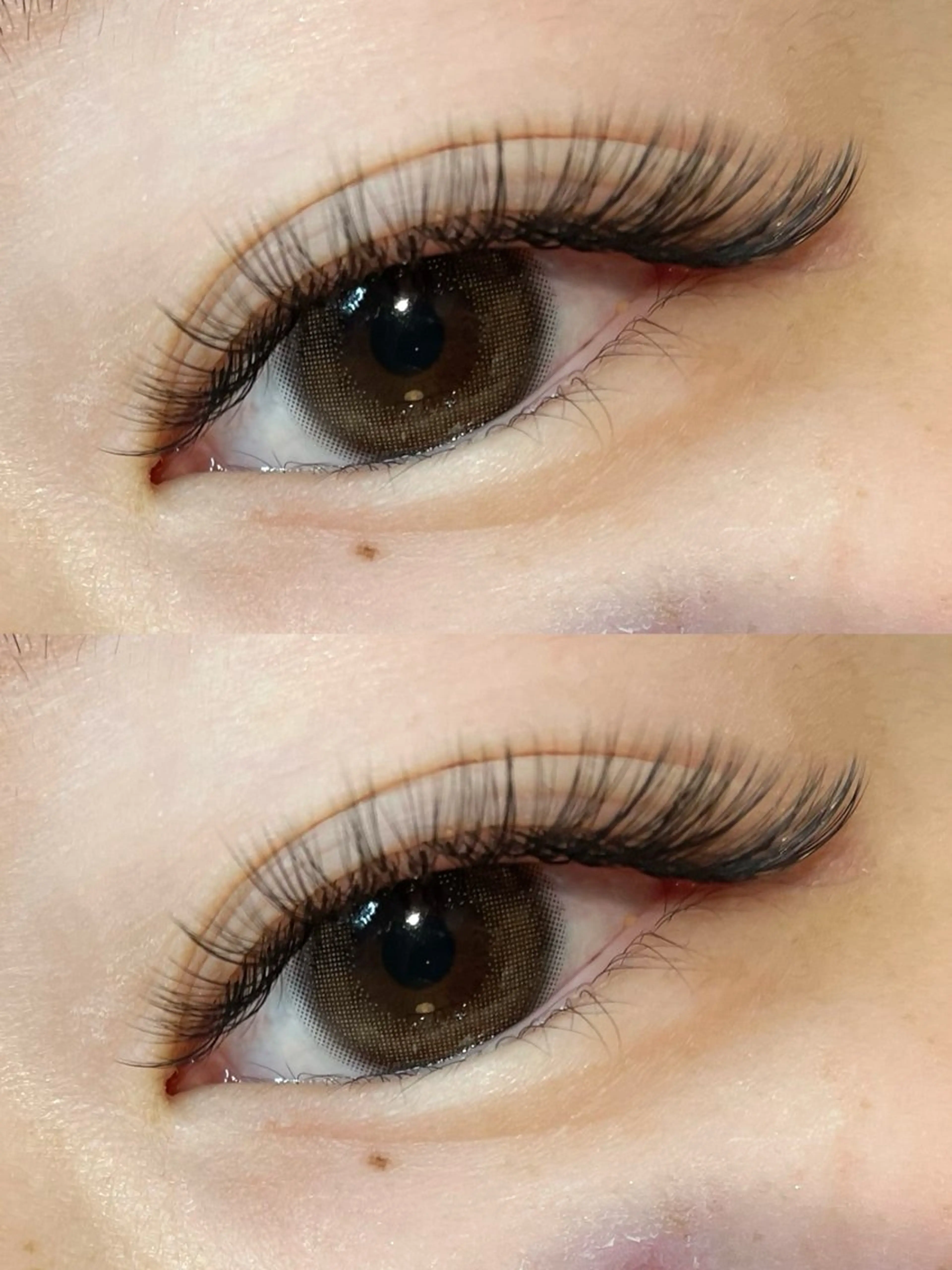 👑ふわふわ密度👑💓ボリュームラッシュ120束!(オフ込み)🎗の写真