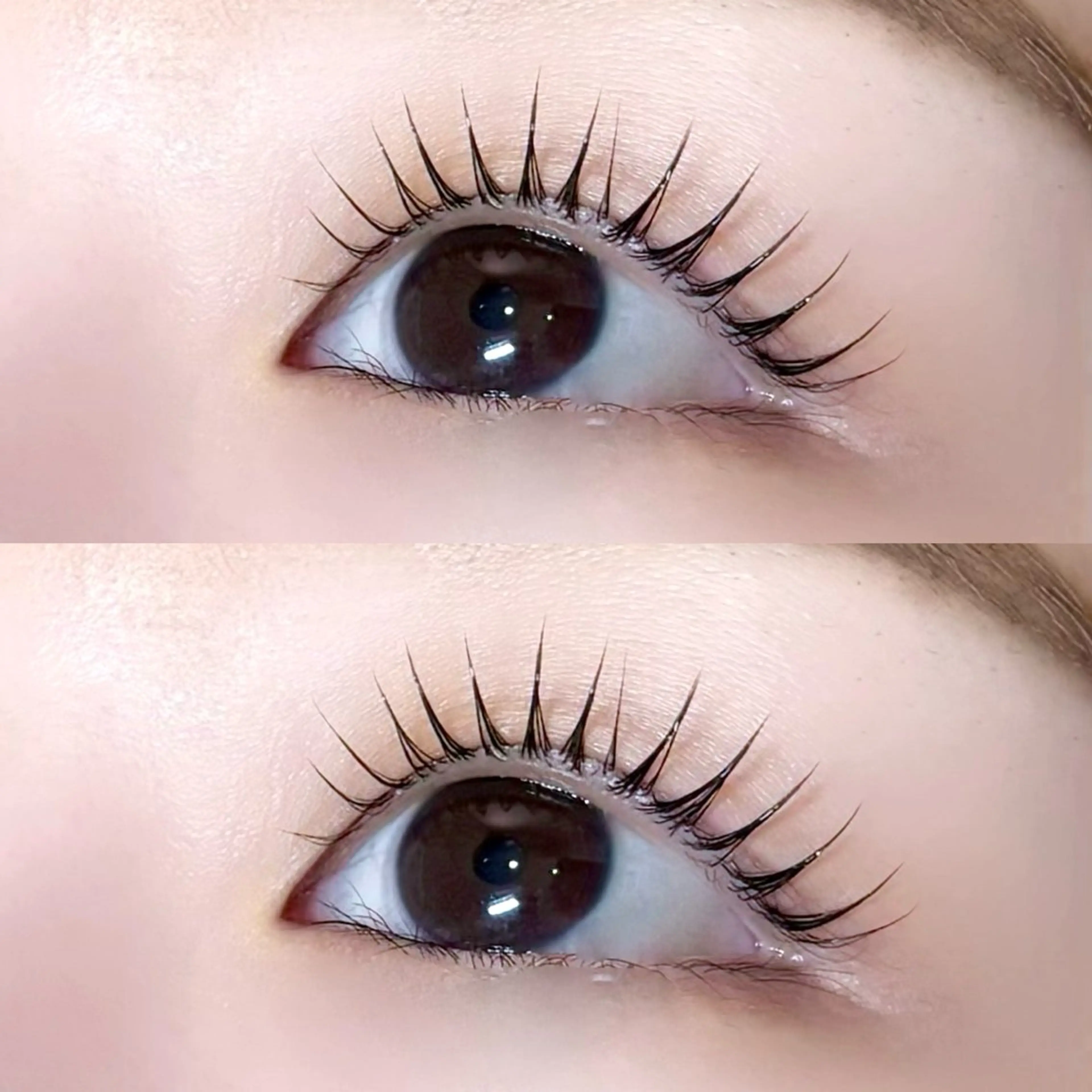 マツエク・マツパ Lupines Asahi🔆のマツエク・マツパデザイン