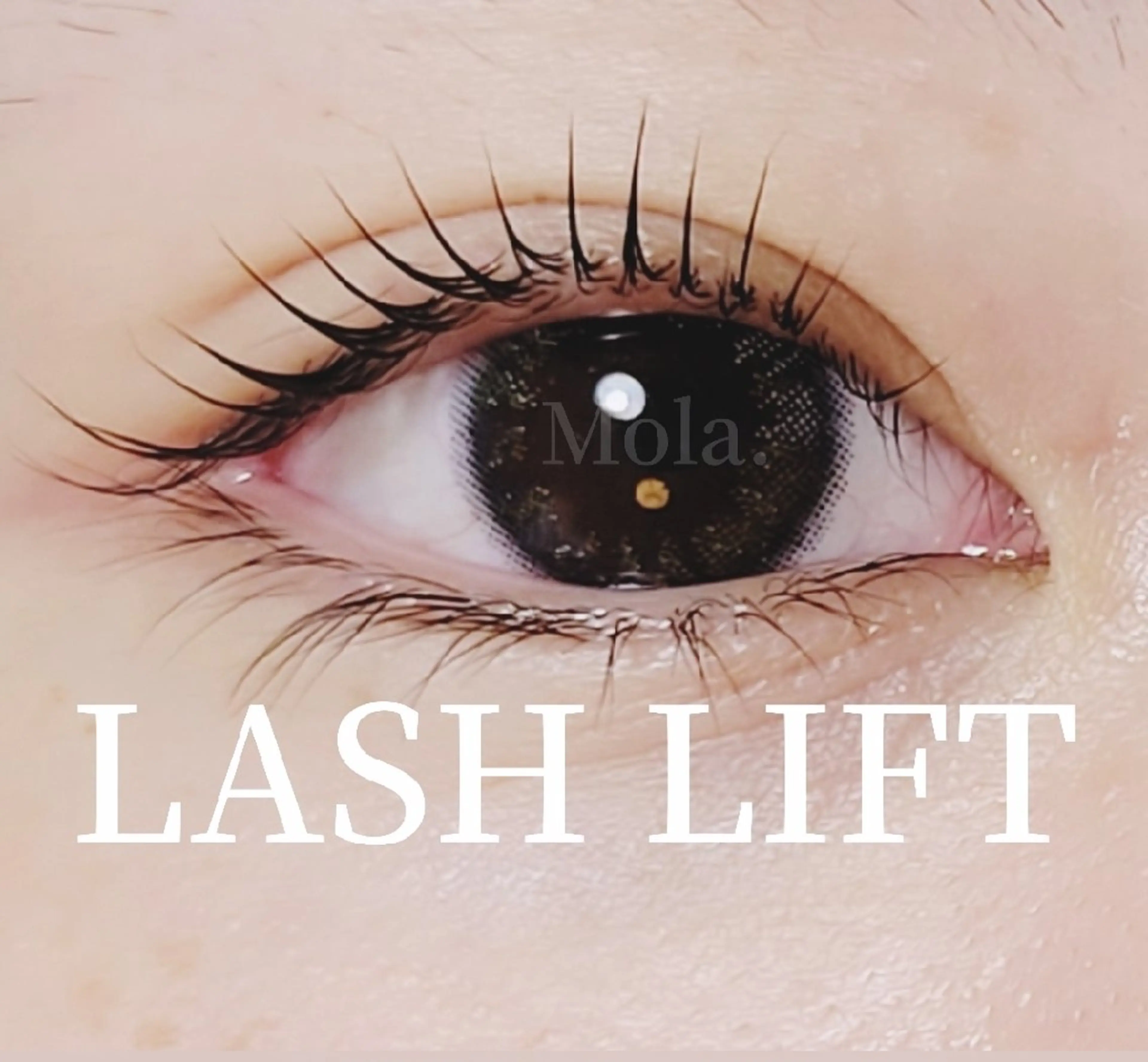 LASH LIFT まつ毛パーマの写真
