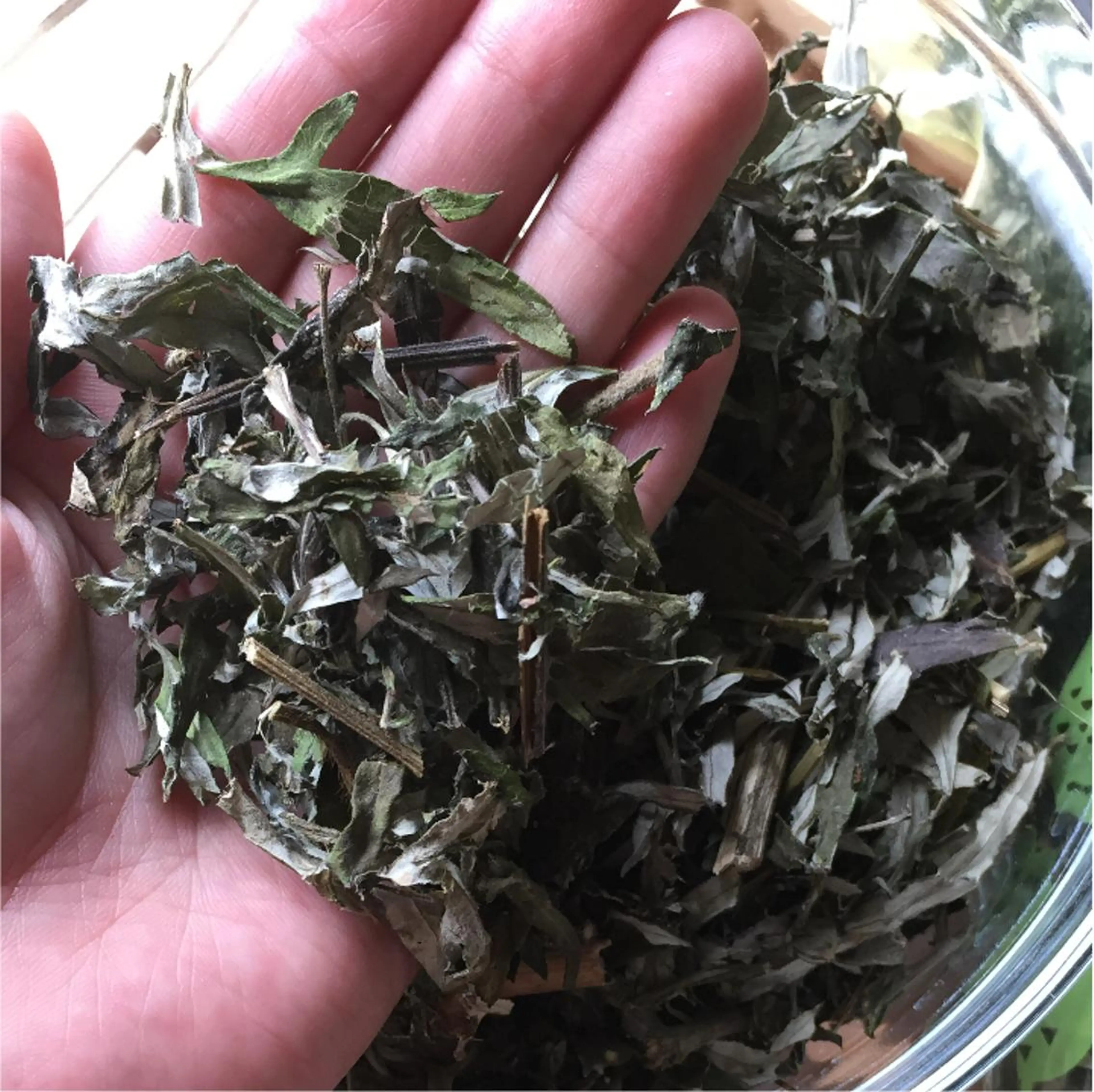 その他 太田 安奈のエステ・リラクイメージ