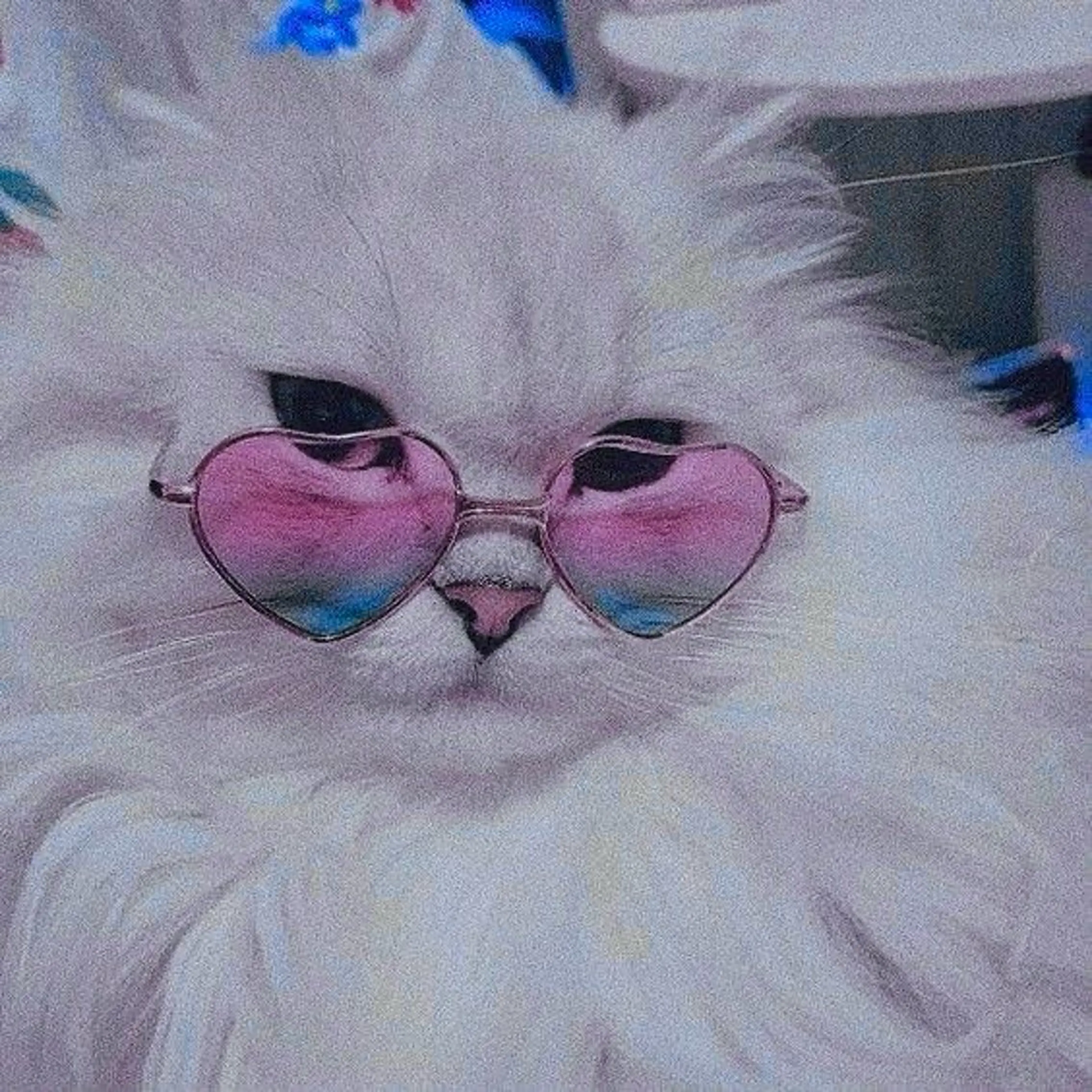 マツエク・マツパ 🎀eyelist. mizuki🐈‍⬛の眉毛・アイブロウイメージ