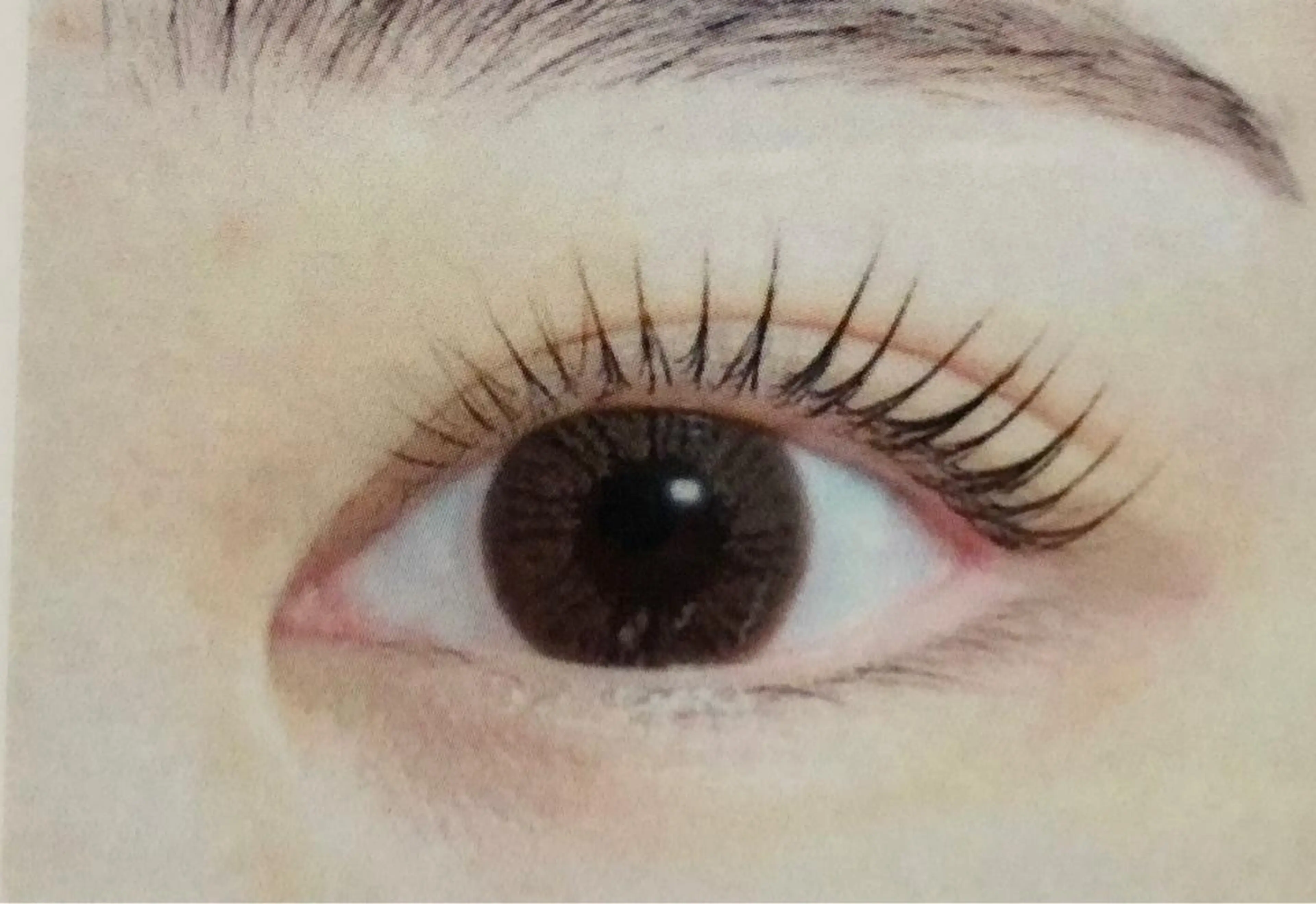 パリジェンヌラッシュリフトの写真