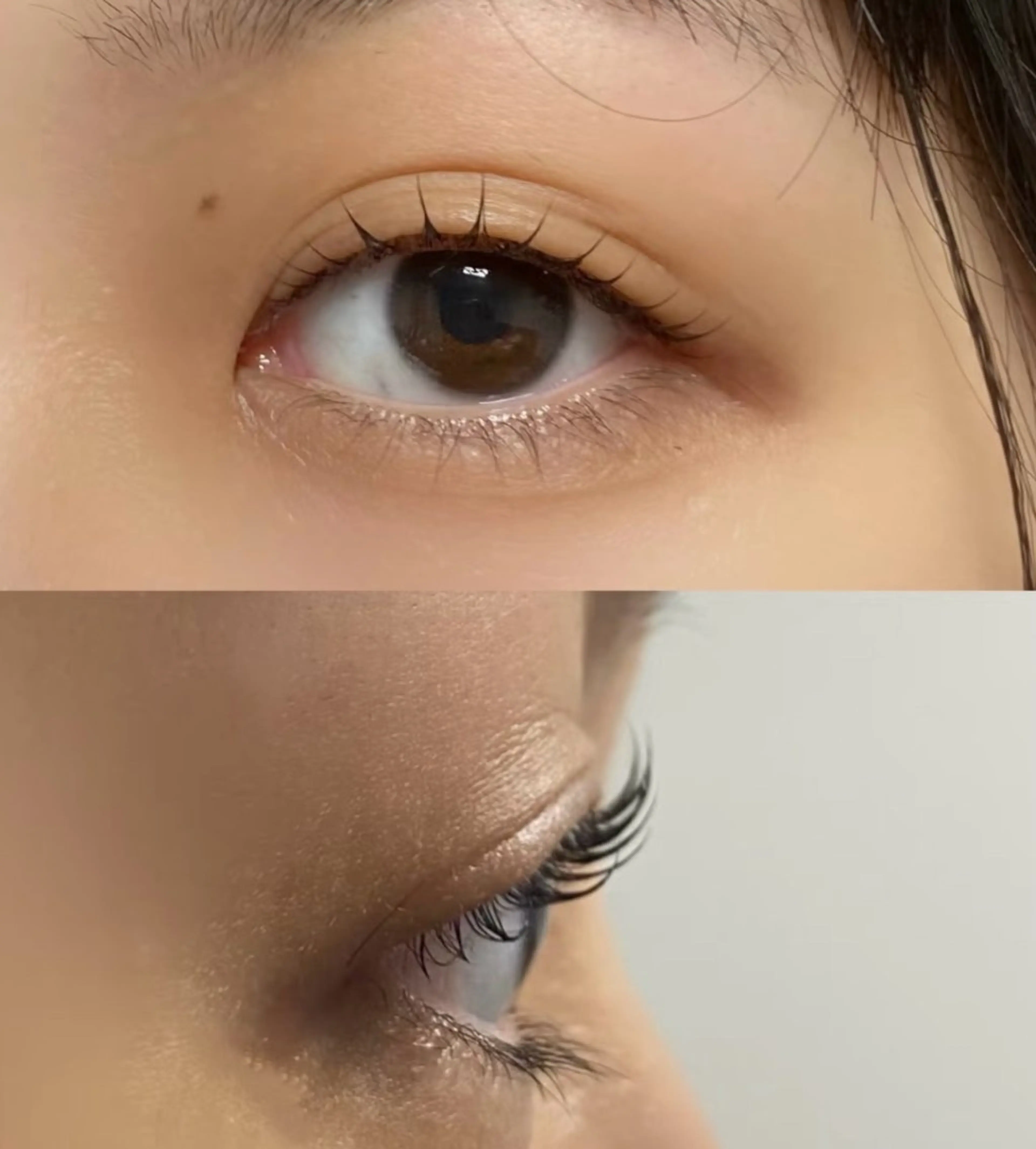 マツエク・マツパ 東京 秋のマツエク・マツパデザイン